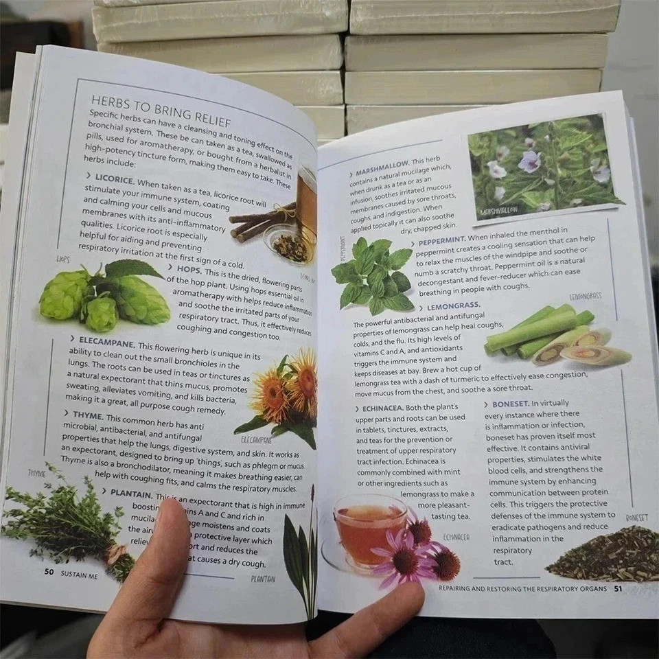 Sustain Me Book – Barbara O’Neill’s New Book Sealed In Hand – Free shipping USA