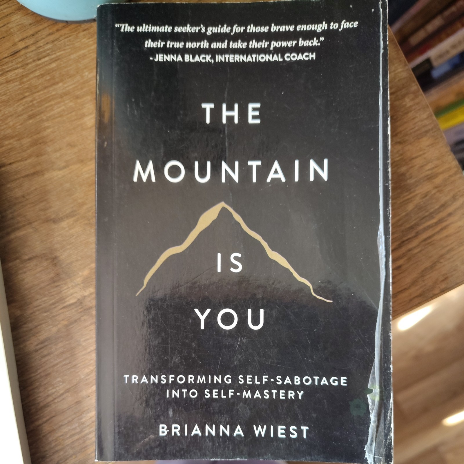 THE MOUNTAIN IS YOU BY BRIANNA WIEST PAPERBACK FREE SHIPPING