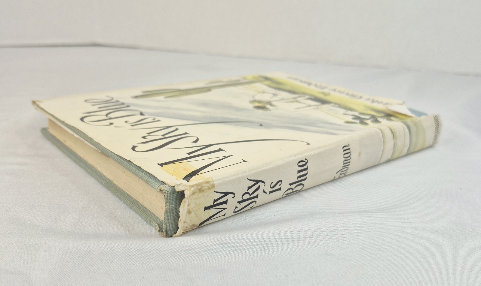 My Sky Is Blue By Loula Erdman 1st Edition 1953 HC DJ