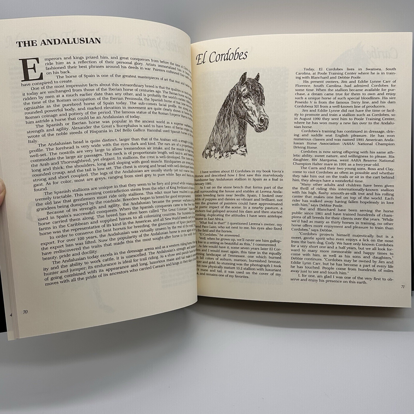 Classic Book of Horses Robert Vavra’s 1st Edition 1992 Hardcover DJ 359 Pages.
