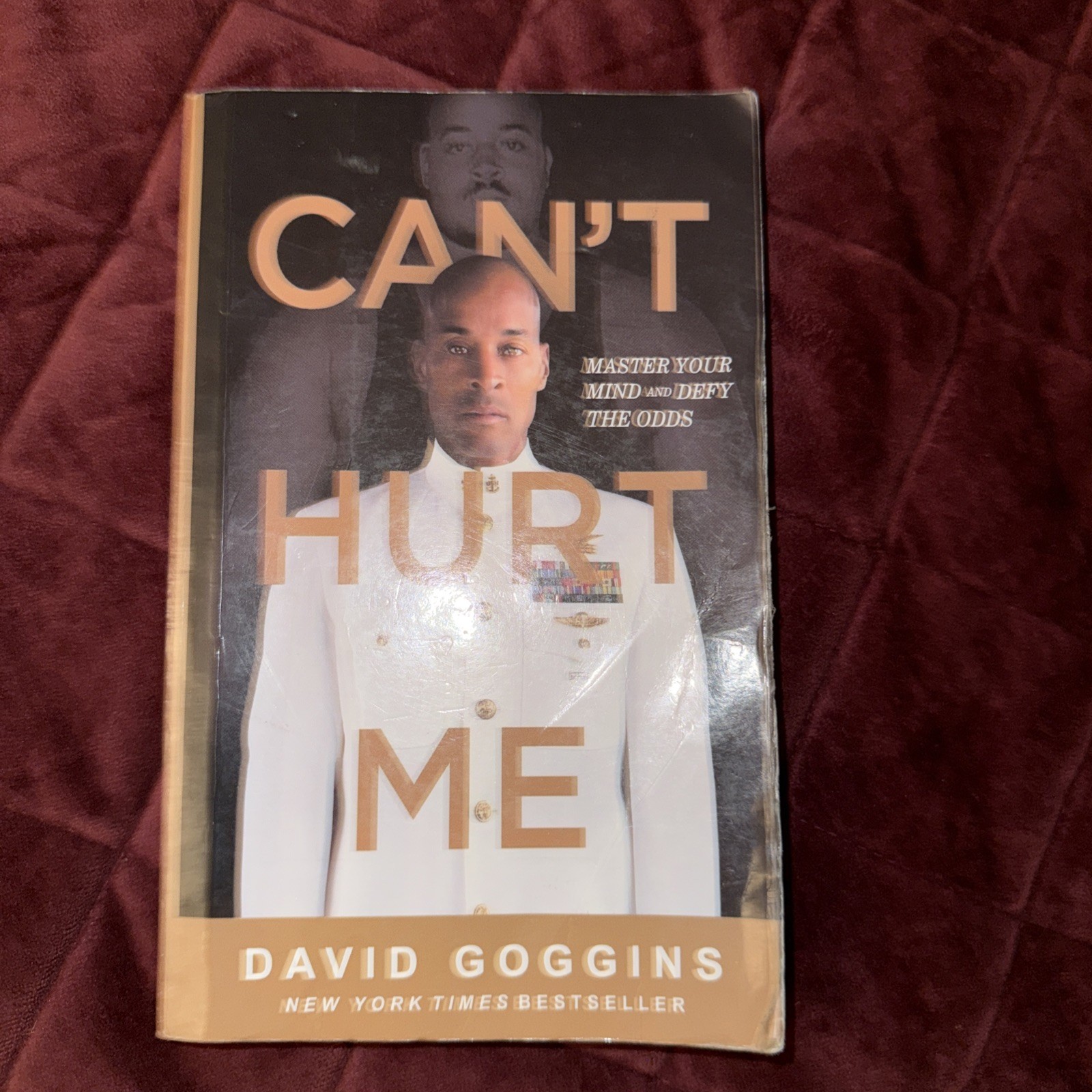 Can’t Hurt Me : Master Your Mind and Defy the Odds by David Goggins (2018,…