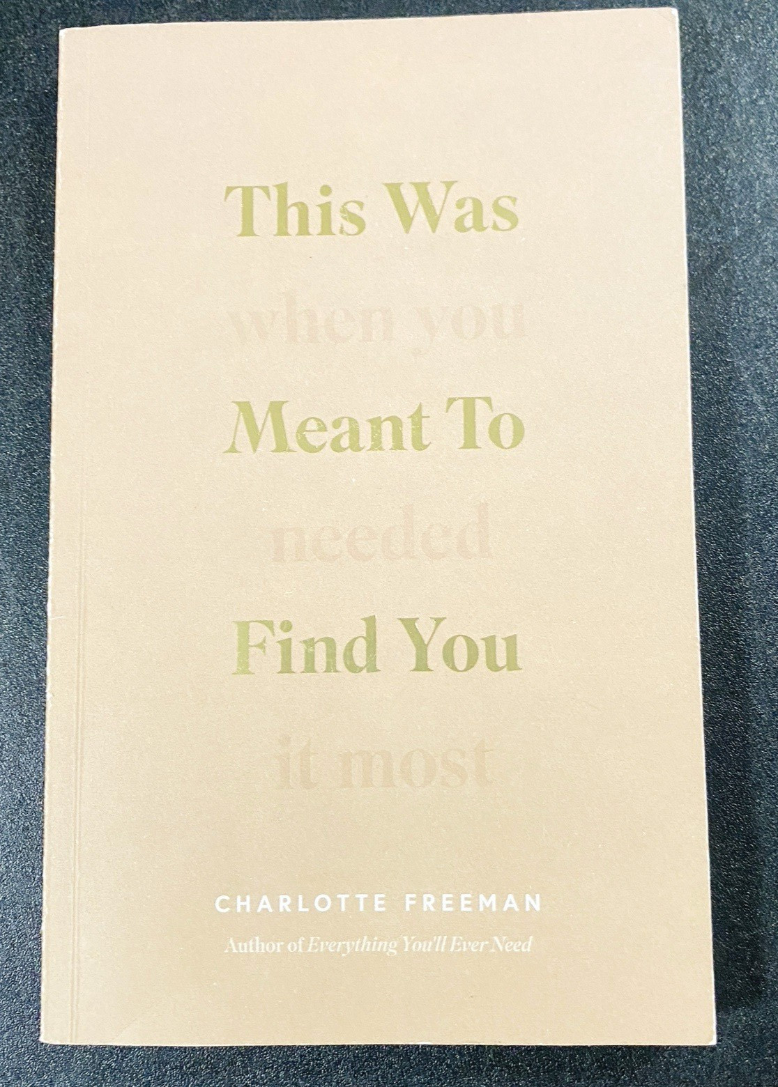 This Was Meant to Find You : When You Needed It Most Charlotte Freeman