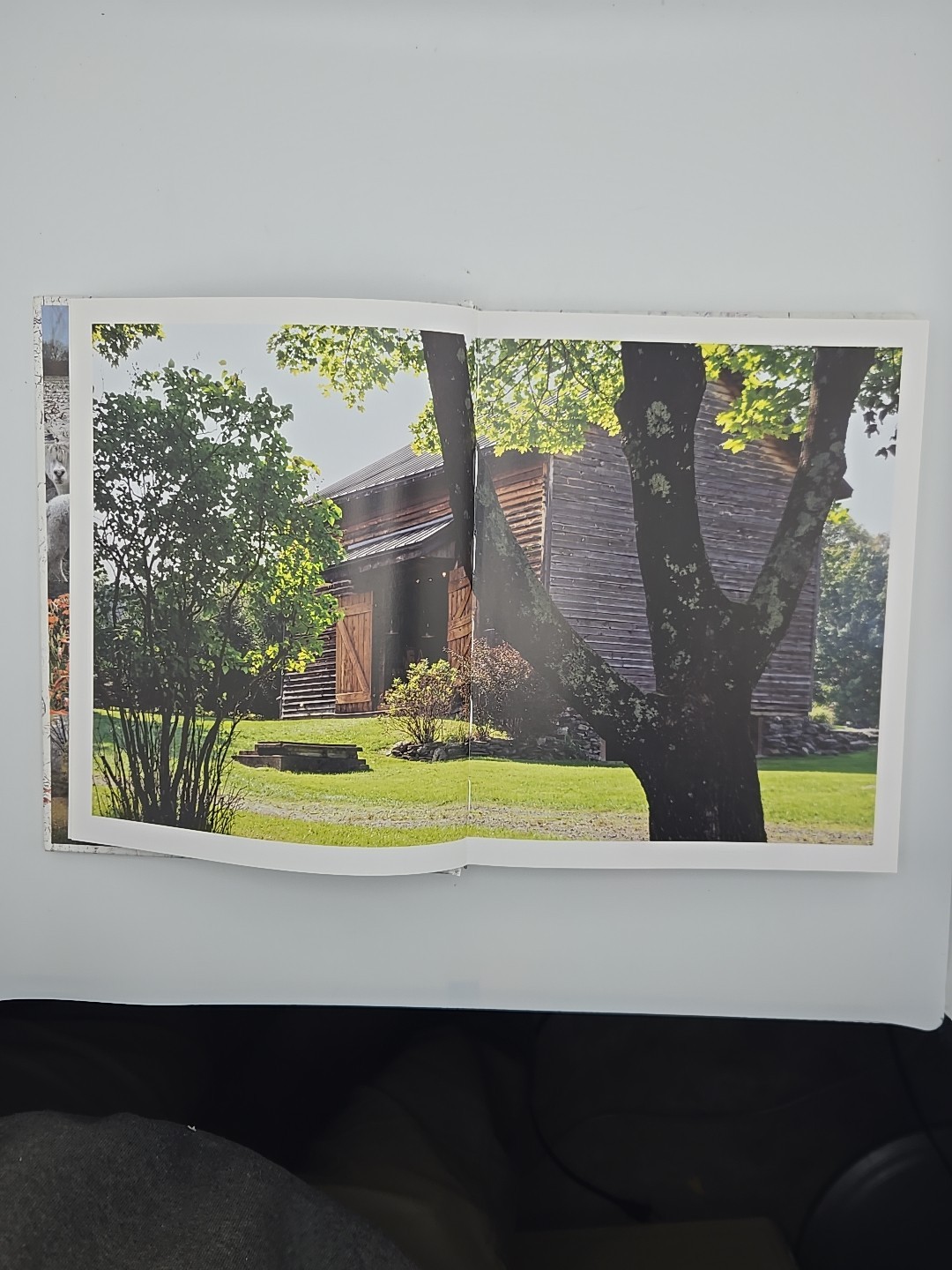 Living Upriver Artful Homes, Idyllic Lives Barbra de Vries Hardback