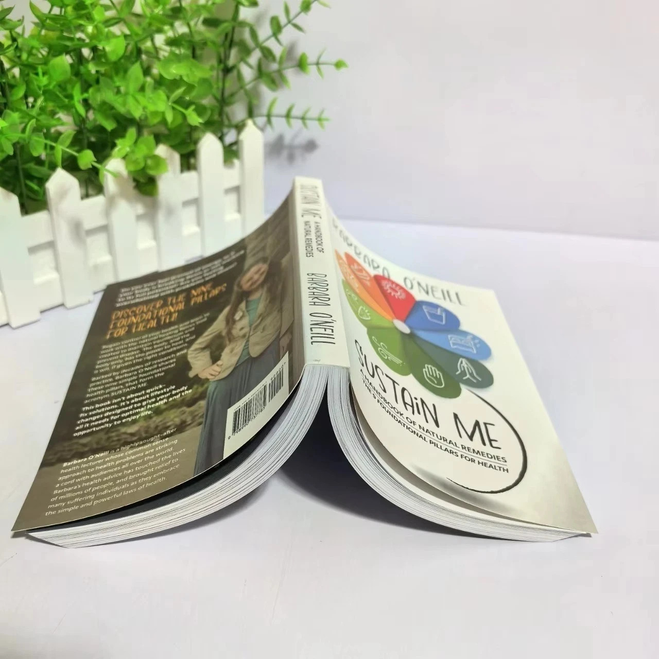 Sustain Me Book by Barbara O’Neill Natural Health Diet Healing Guide