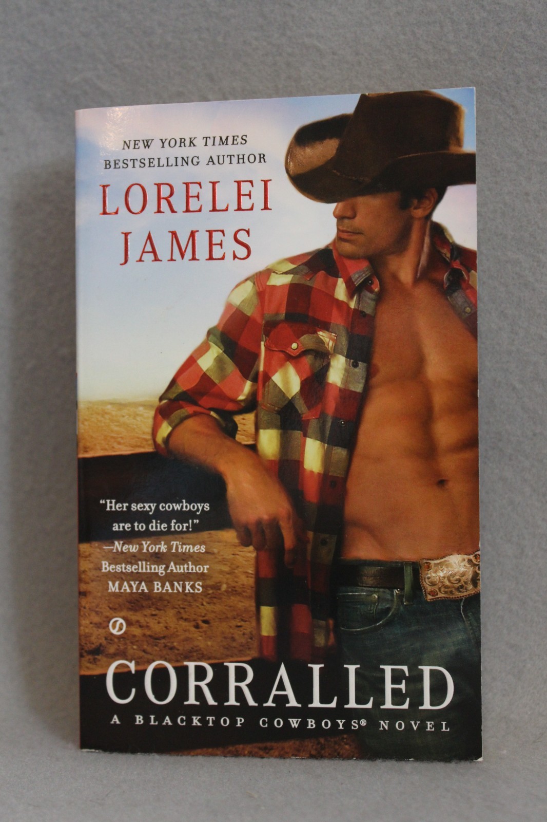 Blacktop Cowboys Series 14 Titles in 12 PBs Lorelei James PB Novellas USED Good