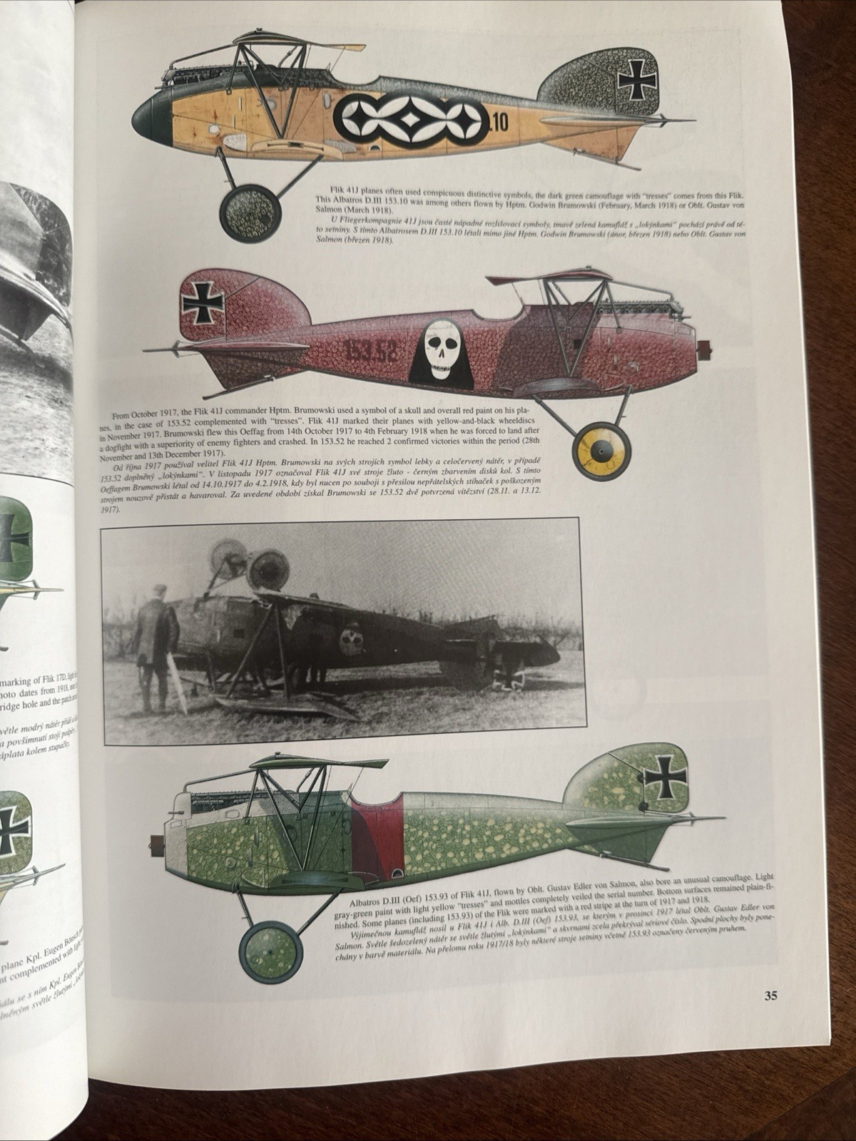 JaPo Albatros D.II & D.III Oeffag Austria Hungary WWI German Soft Cover 1998