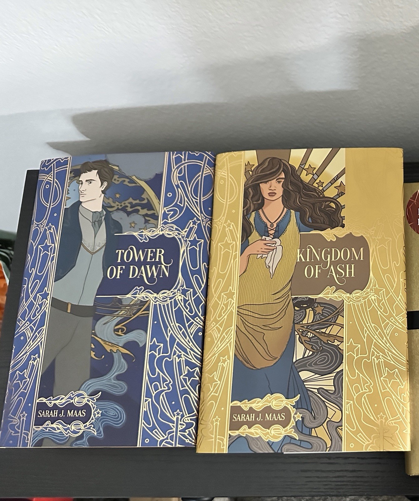 Throne of Glass Books 1-8 Full Set by Sarah J. Maas |Nerdy Ink Foiled HCDJ |OOP