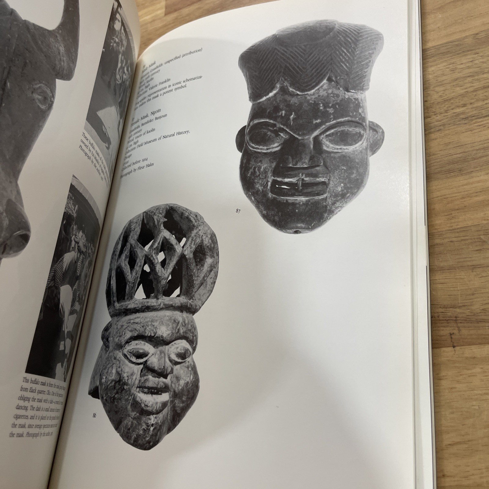 The Art of Cameroon Smithsonian 1984 Exhibition Catalog African Art Hardcover