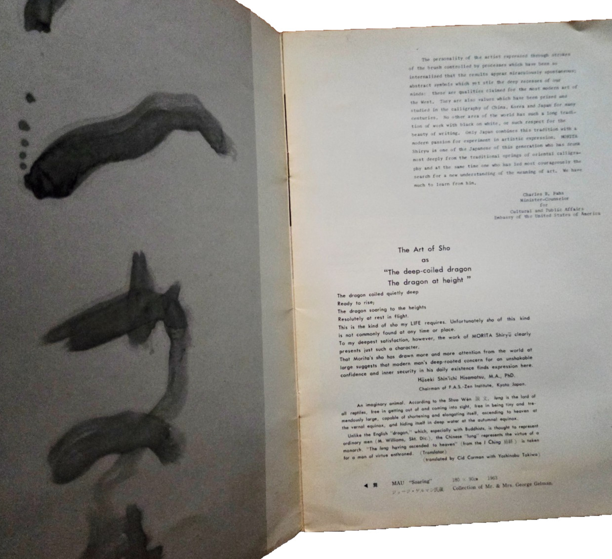 Morita Shiryū: Work And Thought Rare Art of Sho Catalog Kyoto Japan, 1964 vtg
