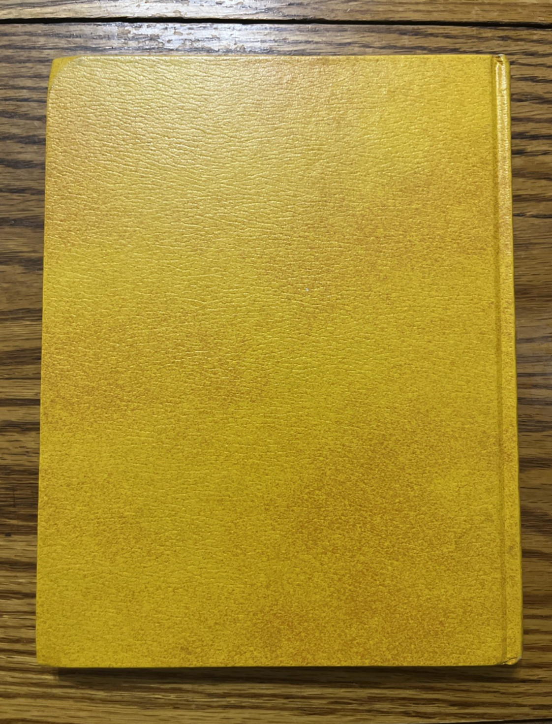 My Book of Bible Stories Watch Tower Bible & Tract Society 1978 *FIRST ED. *NICE