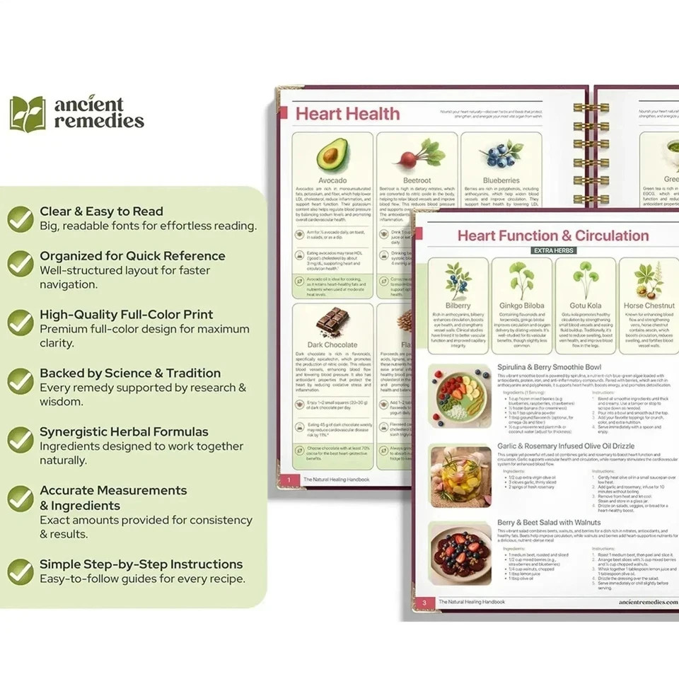 The Natural Healing Handbook Spiral Bound Guide For Herbal Remedies And NaturalT