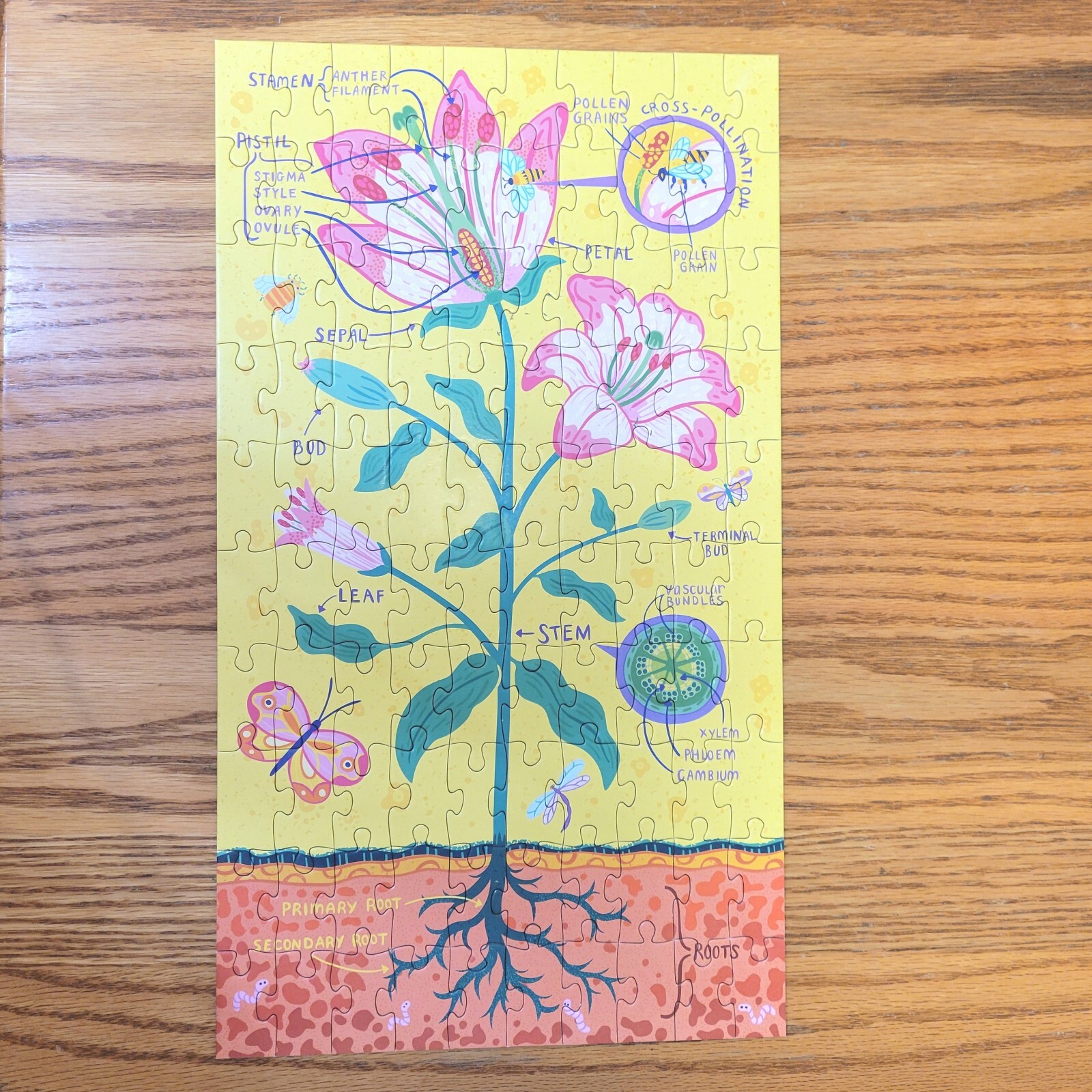 Plant Anatomy Puzzle (3 puzzles in 1 box) 100 Pcs Each Mudpuppy