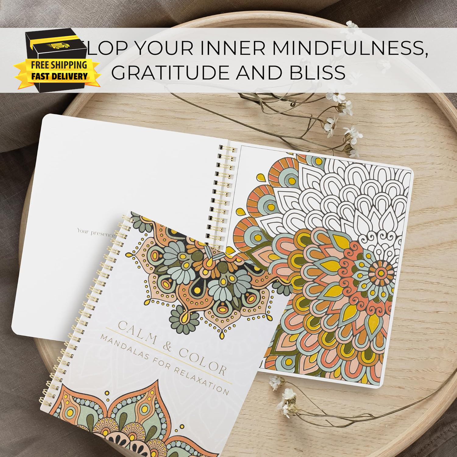 Beautiful Adult Coloring Book Set of 2 for Relaxation – Mandala Coloring Books w
