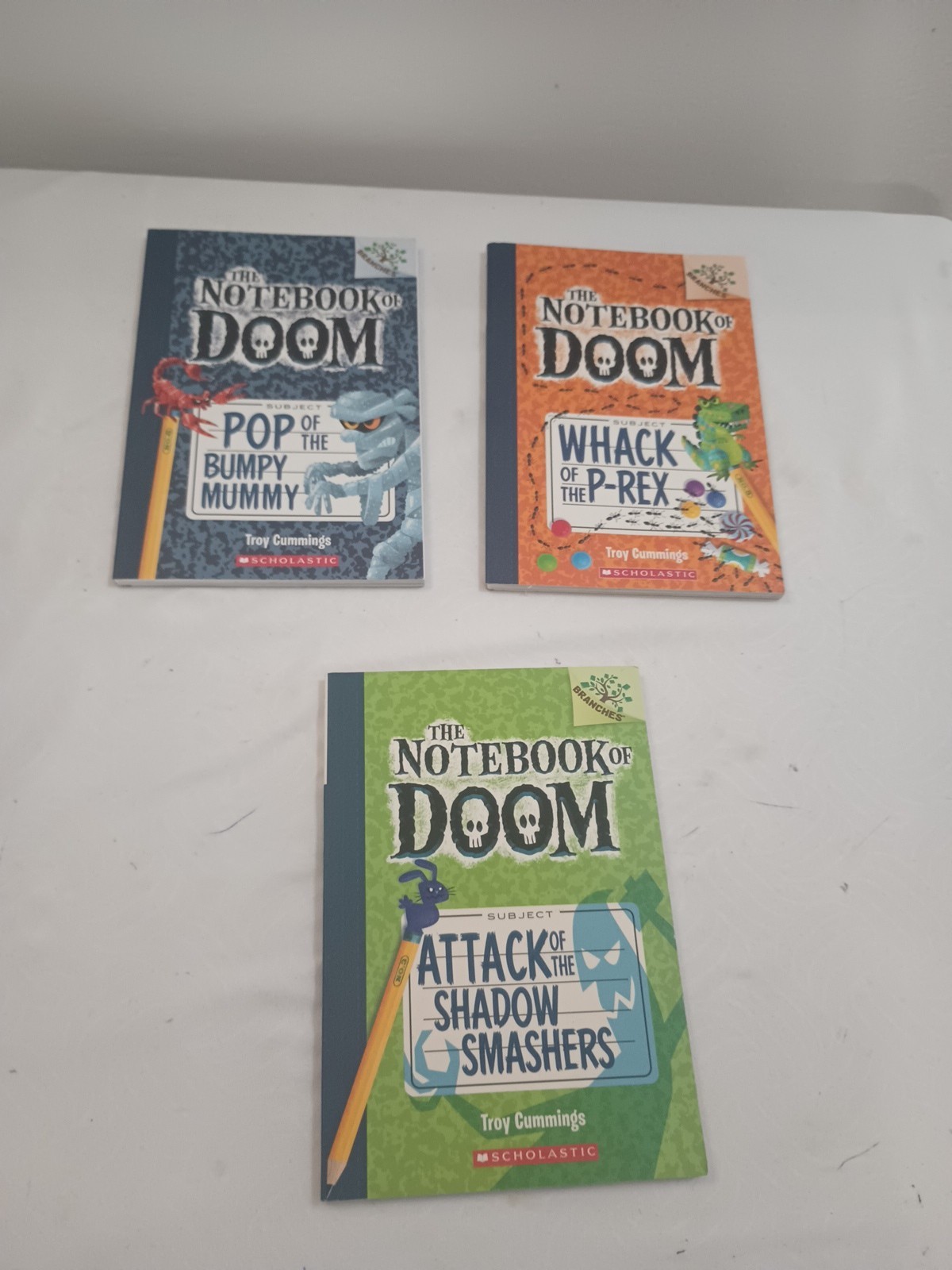 LOT 34 BRANCHES BOOKS: OWL DIARIES,DRAGON MASTERS, DIARY PUG,UNICORN DIARIES.