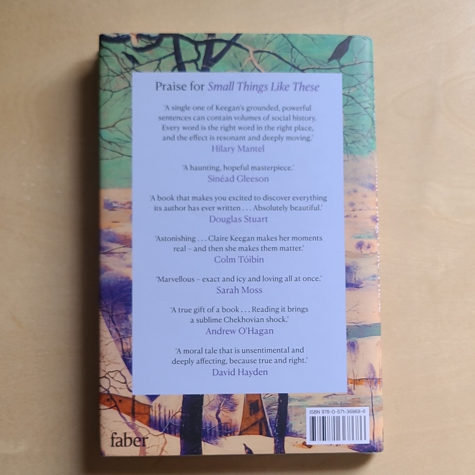 Irish Literature Bundle: Small Things Like These & Amongst Women