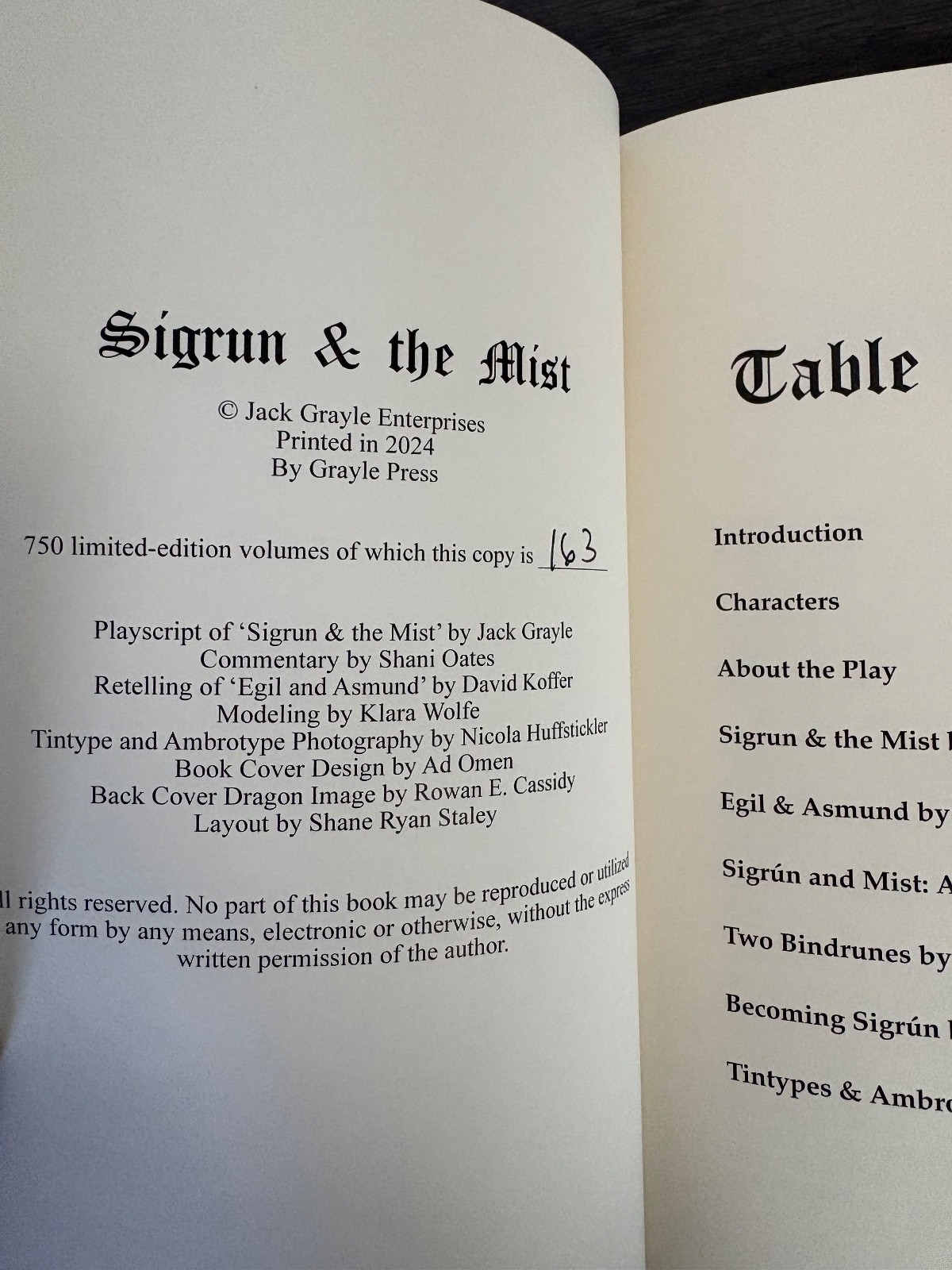 Sigrún and The Mist New First Edition by Jack Grayle Hardcover 163/750