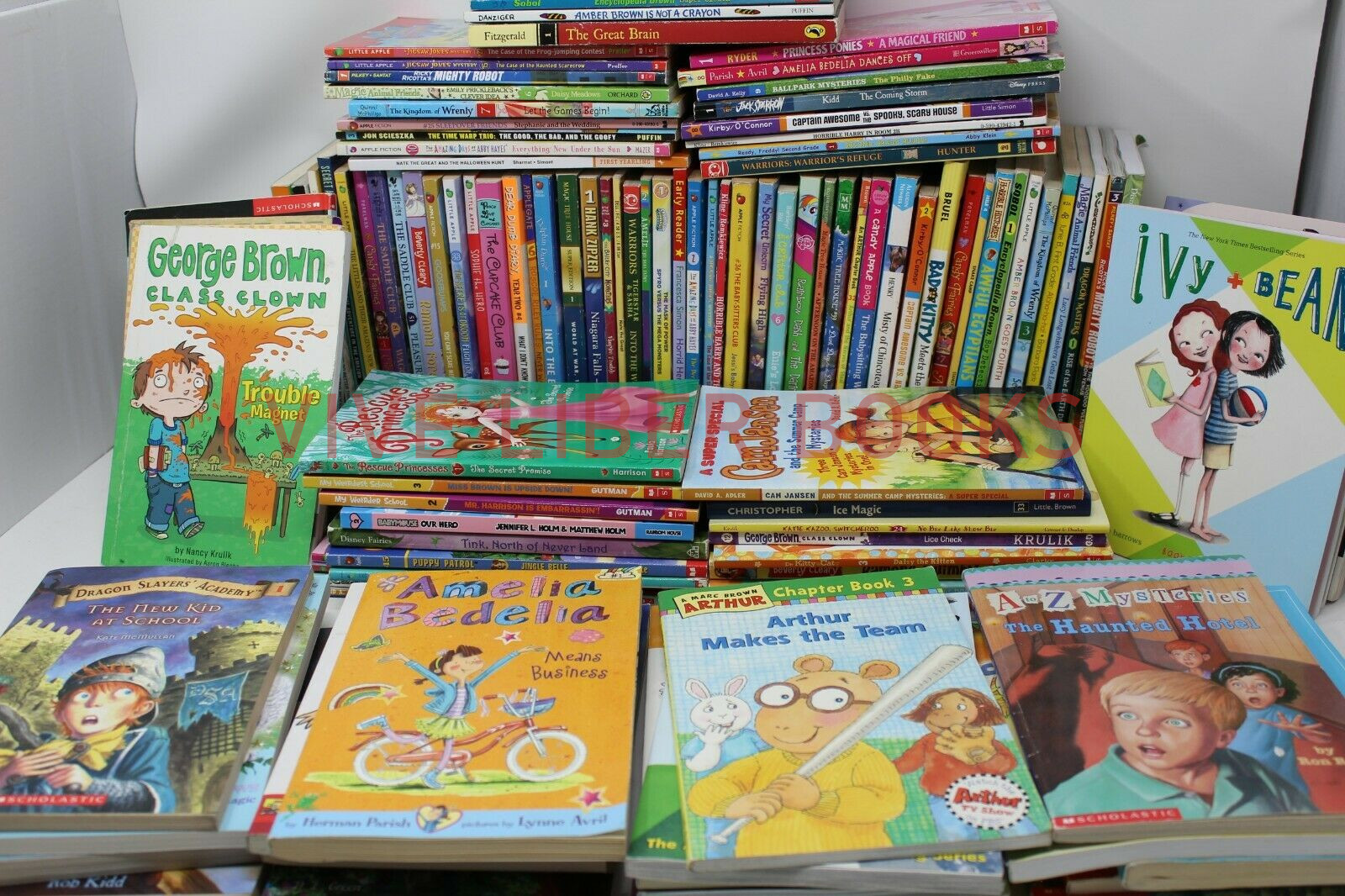 Bulk/Huge Lot of 50 of Children’s Kids Chapter Books – Random – Free Shipping!