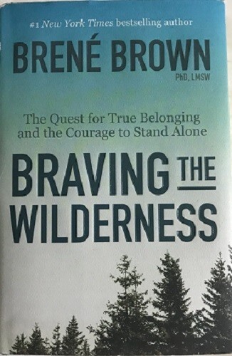Brene Brown~BRAVING THE WILDERNES~SIGNED 1ST(3)/DJ~NICE COPY