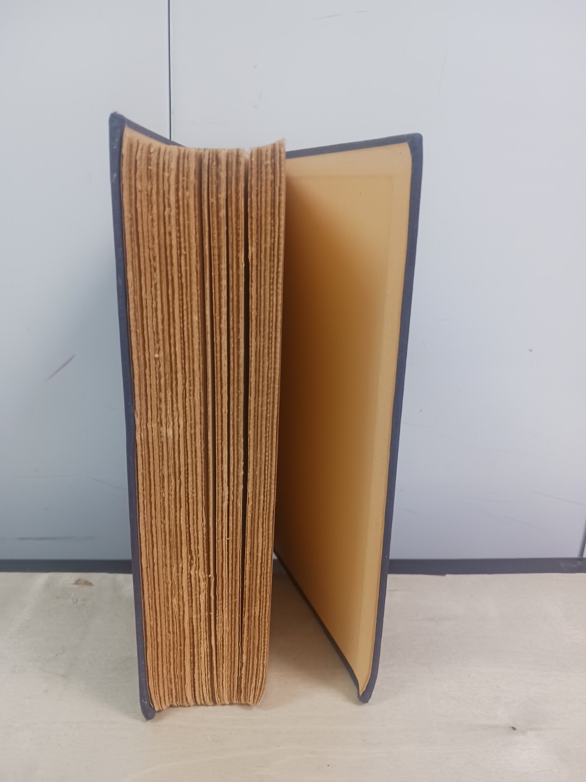 It Can’t Happen Here by Sinclair Lewis First Edition 1935 Sun Dial Press