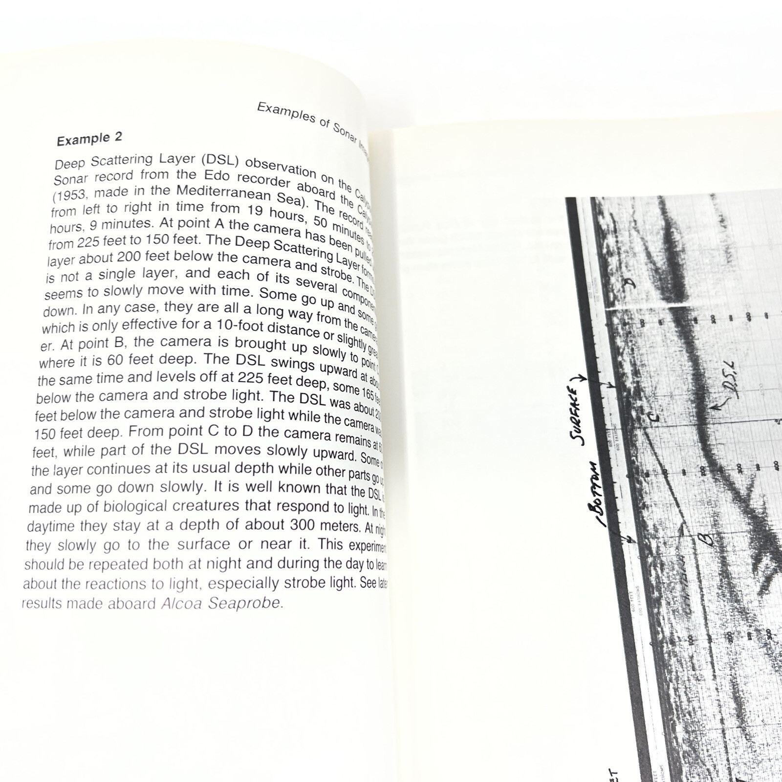 Signed Sonar Images by Dr. Harold E. Edgerton 1st Edition Softcover 1986