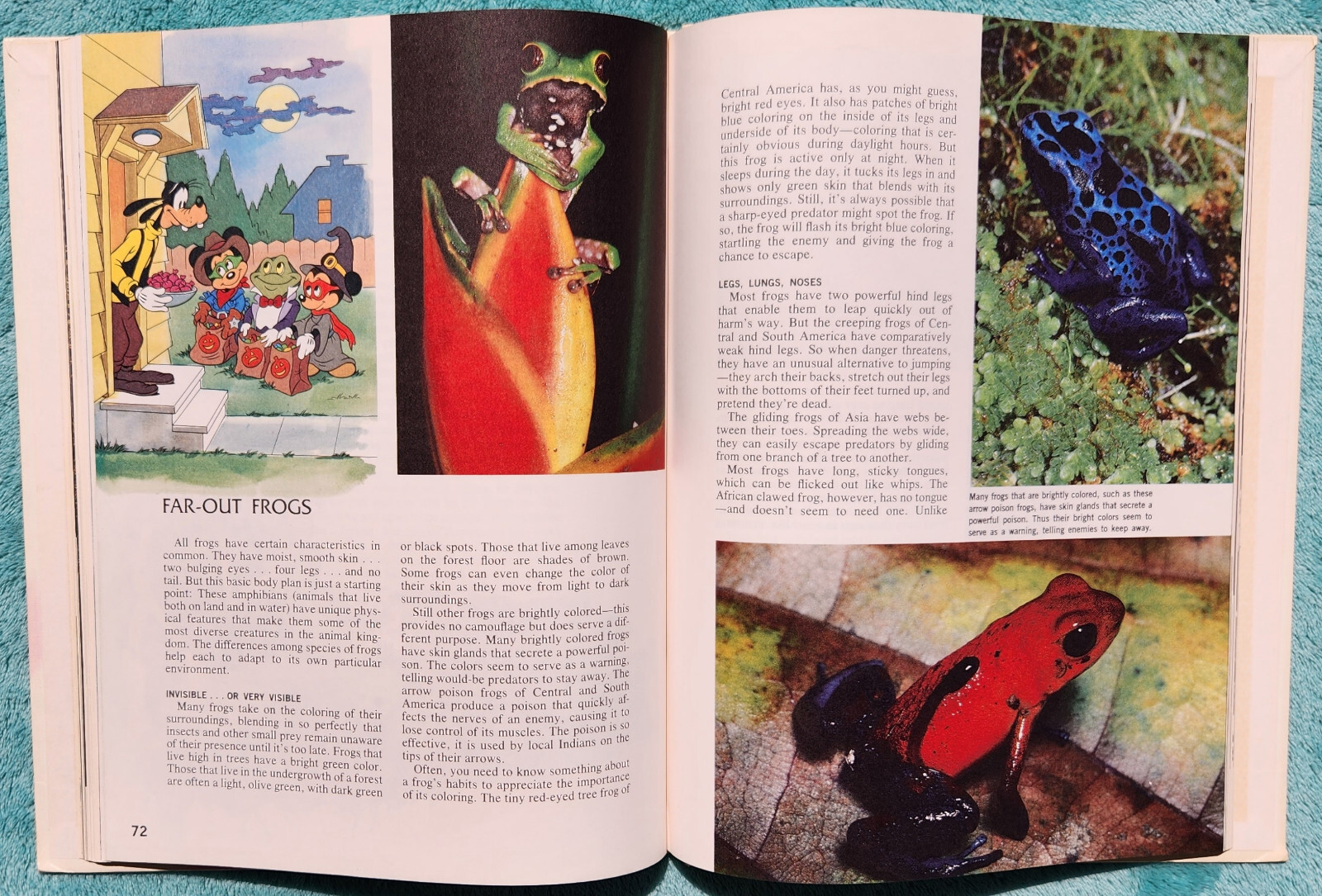 Disney’s Wonderful World Of Knowledge 1986 Yearbook Hardcover 126 Pages