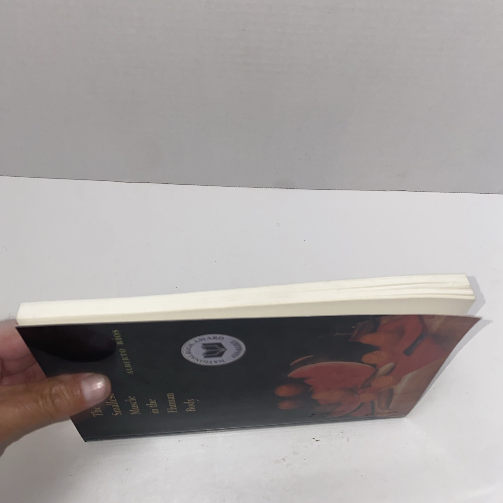 The Smallest Muscle in the Human Body Alberto Rios Poetry Book PB Copper Canyon