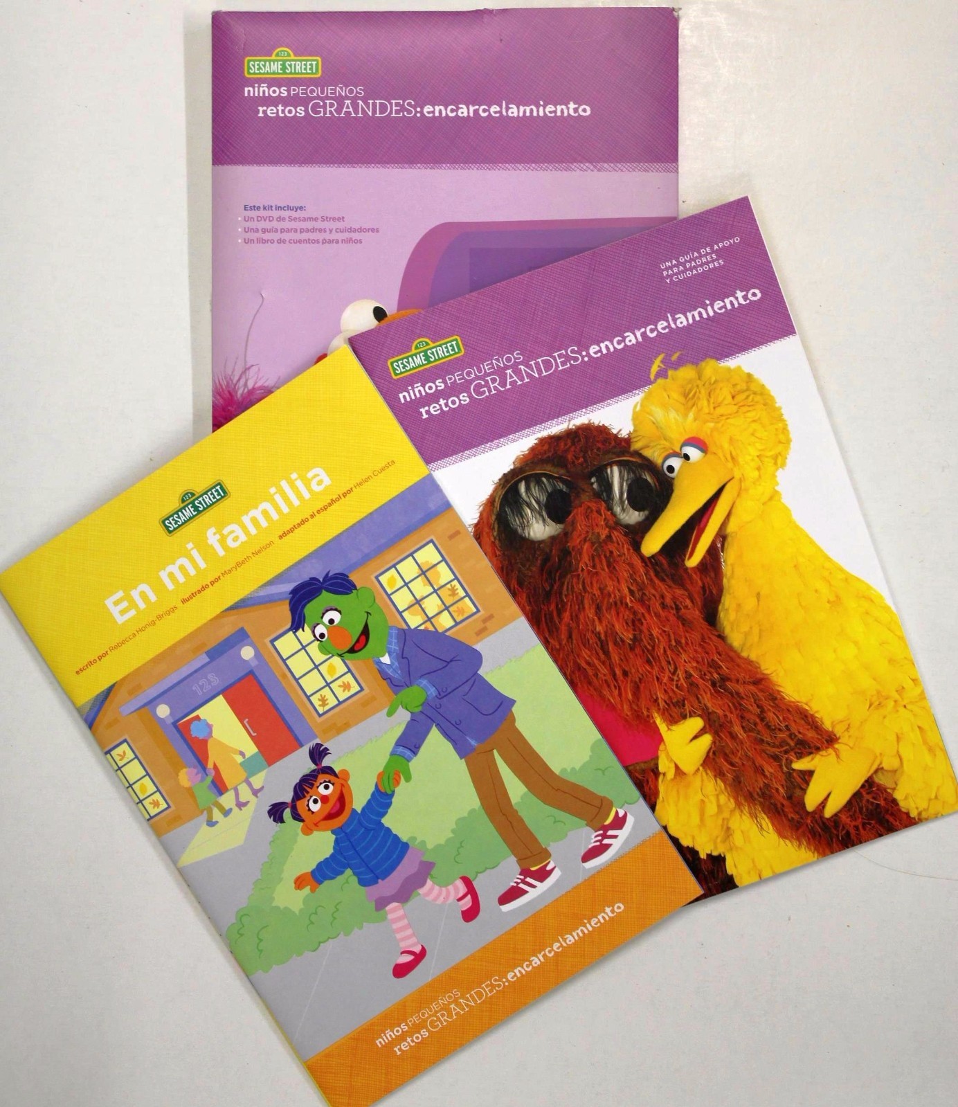 Sesame Street Little Children Big Challenges:Incarceration Ages 4-8 Book/DVD Kit