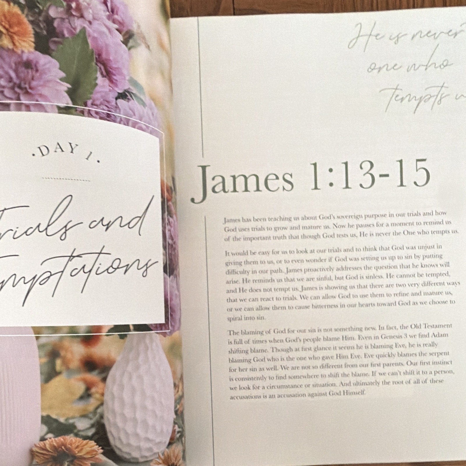 The Daily Grace Co. James: The Steadfast Life Schmucker PB 2017 Study Guide