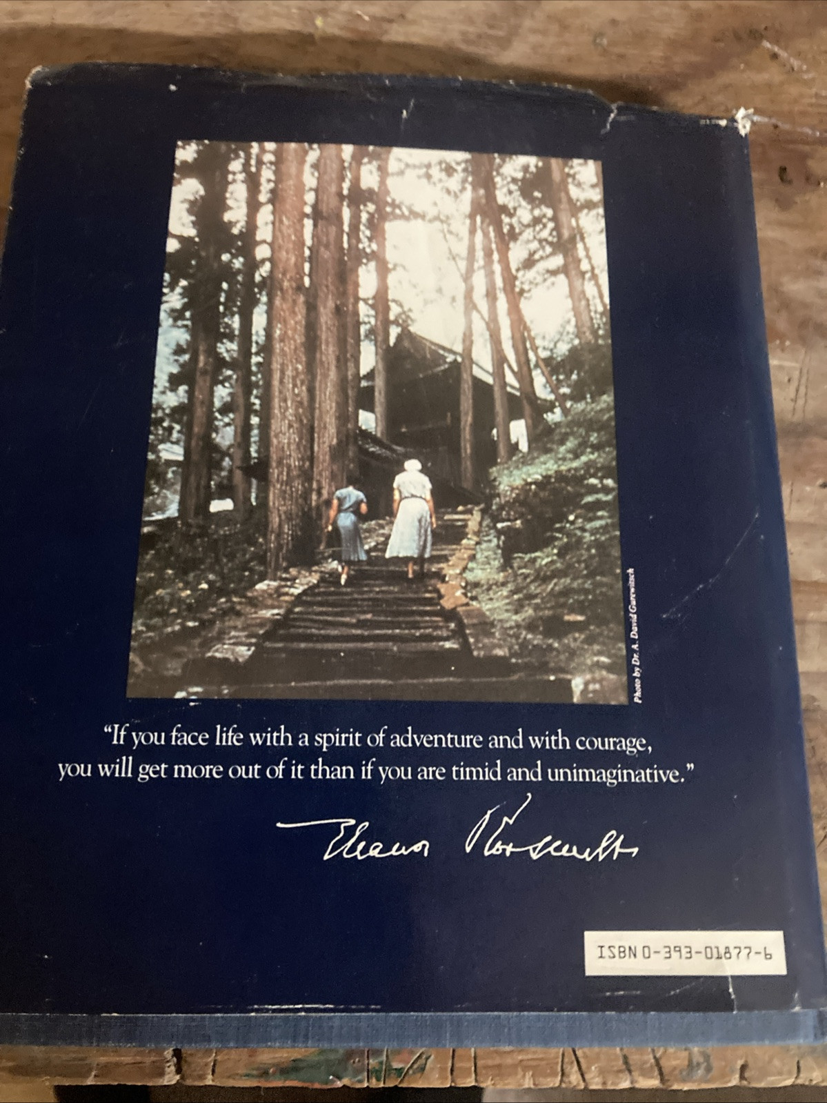 Life Was Meant to Be Lived : A Centenary Portrait of Eleanor Roosevelt by Joseph