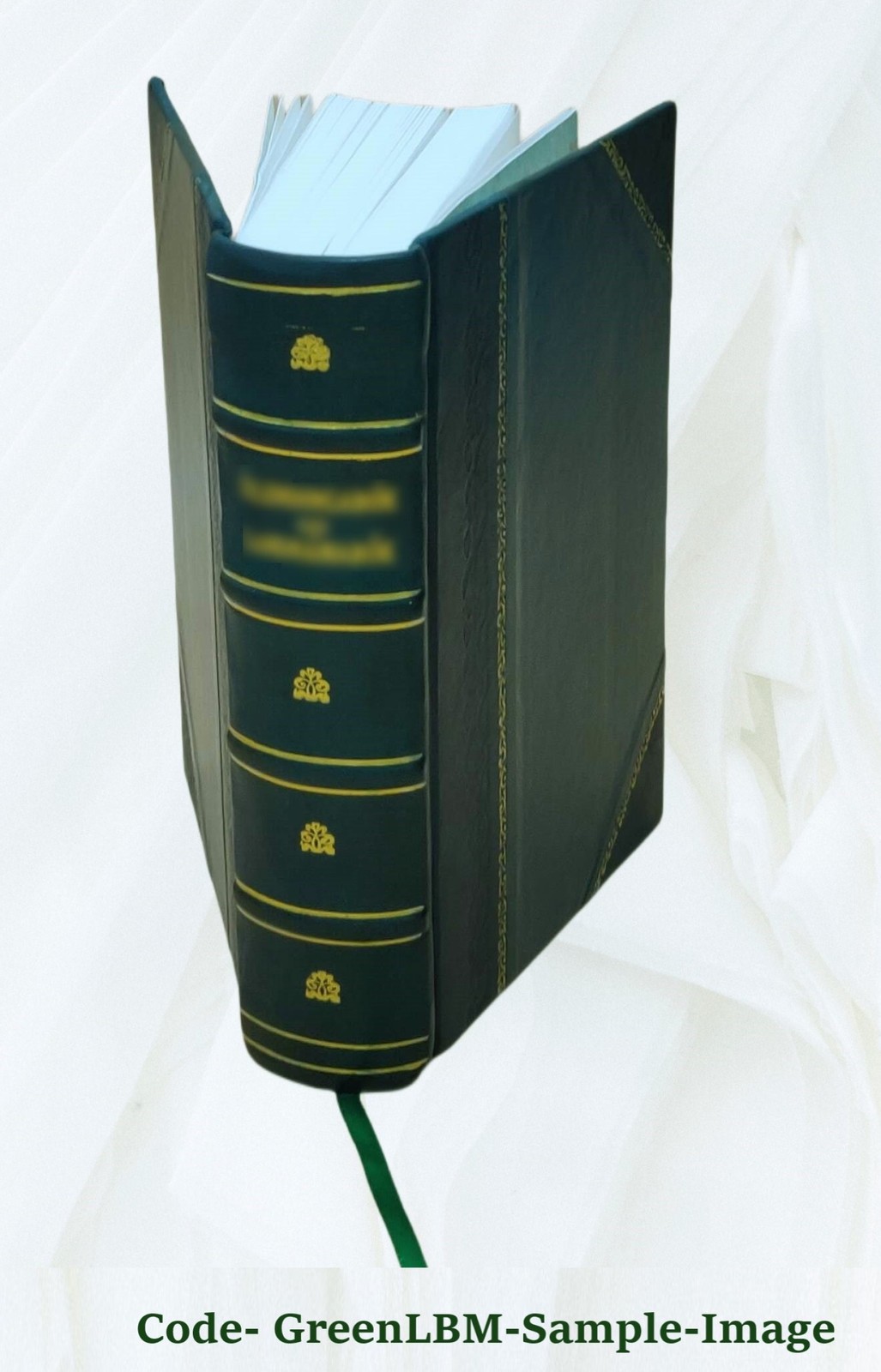 One hundred years of progress 1895 [Leather Bound]