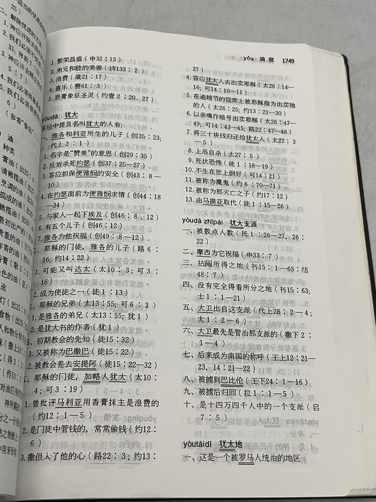 圣经 研用本 CHINESE STUDY BIBLE SOFTCOVER, FAUX LEATHER VARIOUS AUTHORS CHINA BLACK