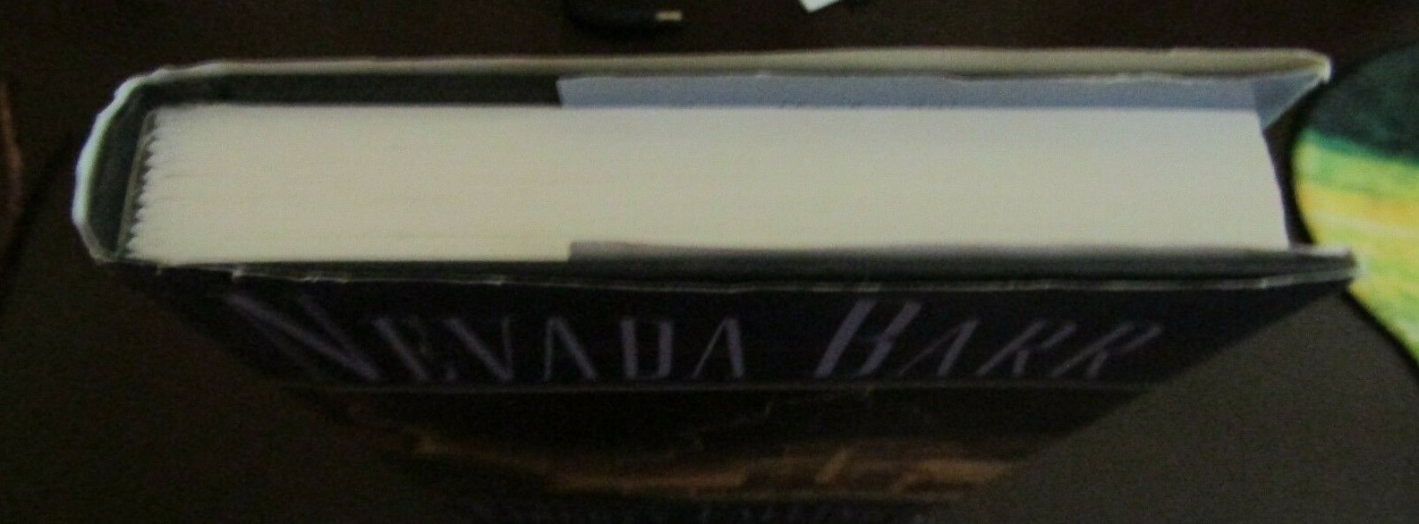 Liberty Falling by Nevada Barr (1999, Hardcover with Dust Jacket) 317 pages GUC