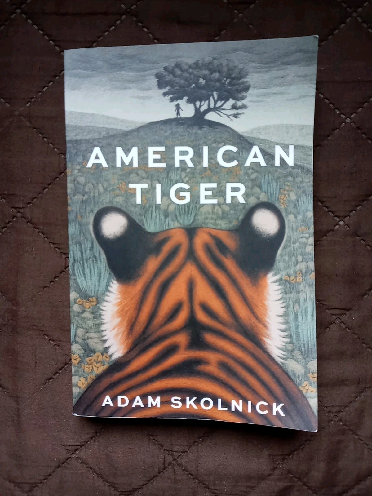 American Tiger by Adam Skolnick Trade Paperback Brand New 2026