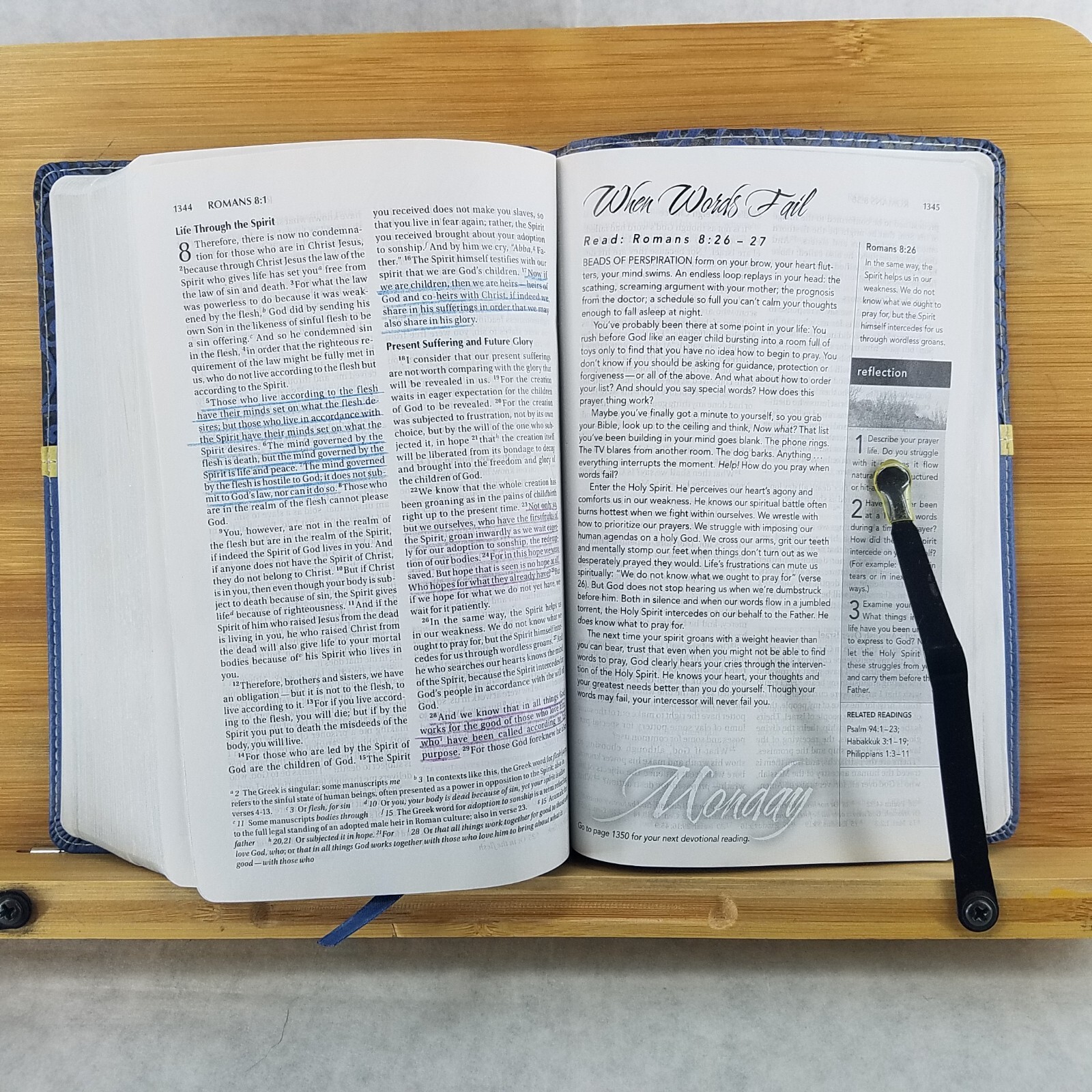 Women’s Devotional Bible by Zondervan Staff (2012, Blue Leather, Special)