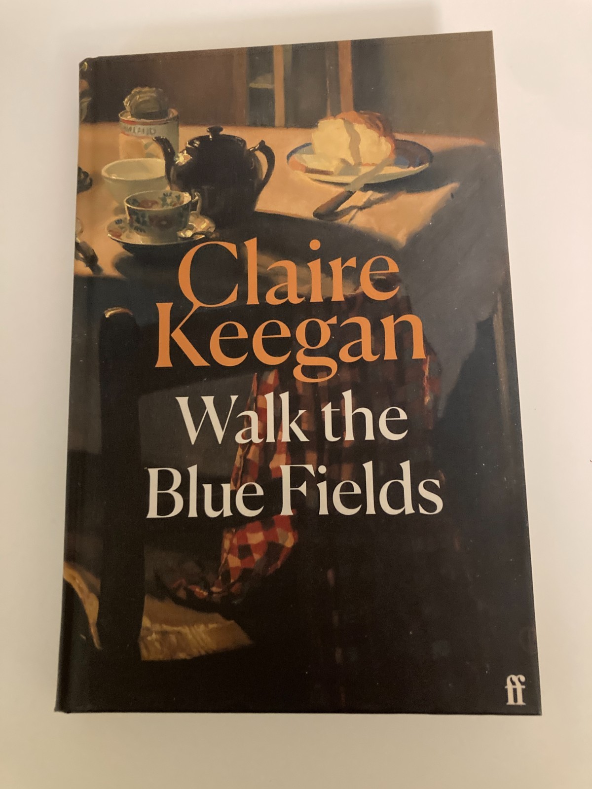 Walk The Blue Fields by Claire Keegan (2025, Hardcover) 1st UK Printing Like New