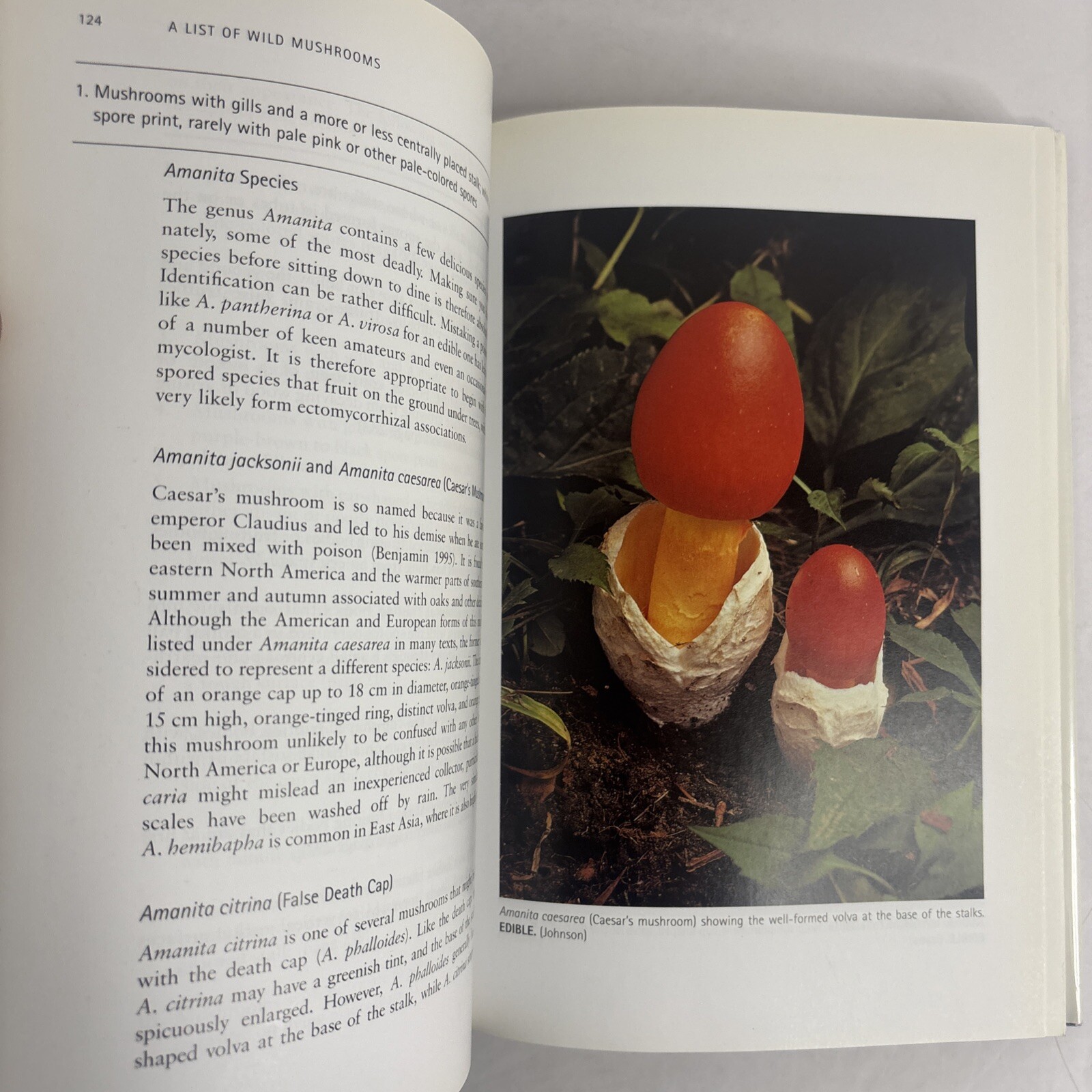 Edible and Poisonous Mushrooms of the World by Hall, Stepheson, Buchanan, Yun