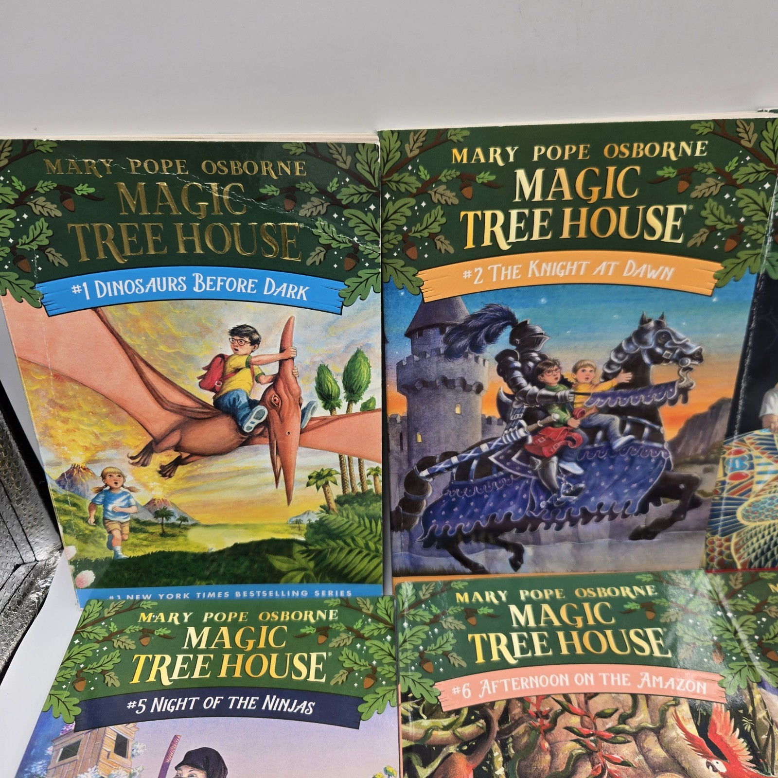 Magic Tree House 12 Book Set Books 1-12
