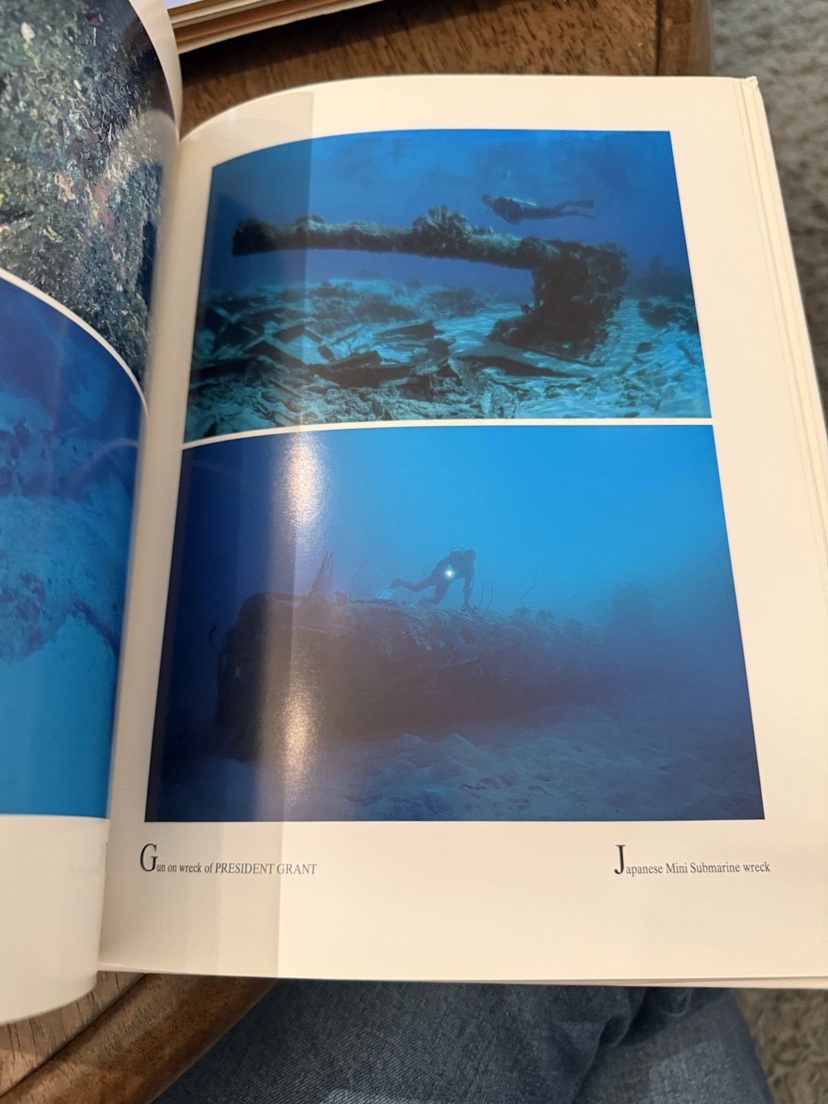 Diving Papua New Guinea Bob Halstead 1994 Hardback Book Air Niugini Edition