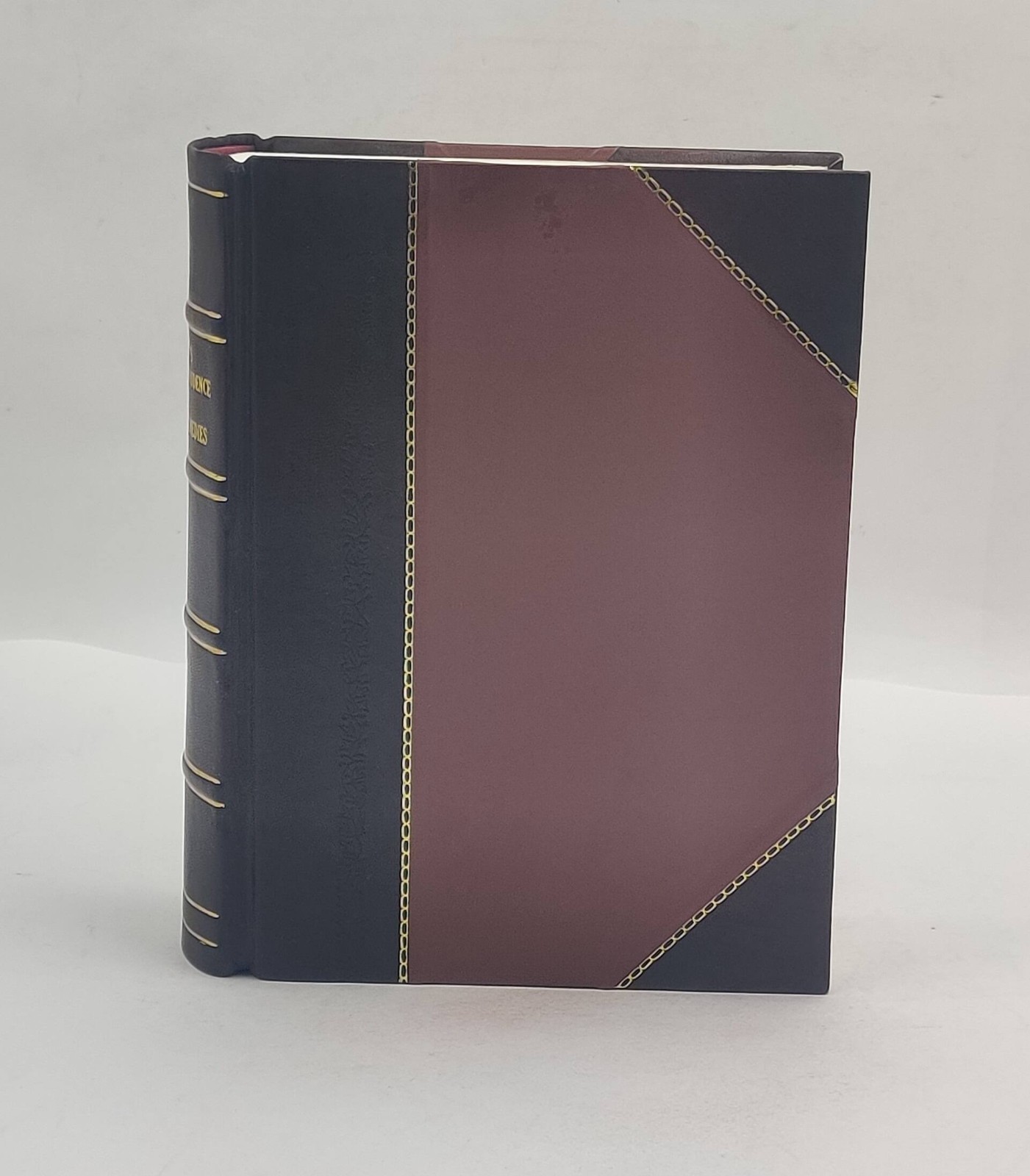 Pomeroy’S Equity Jurisprudence And Equitable Remedies [Leather Crafted]