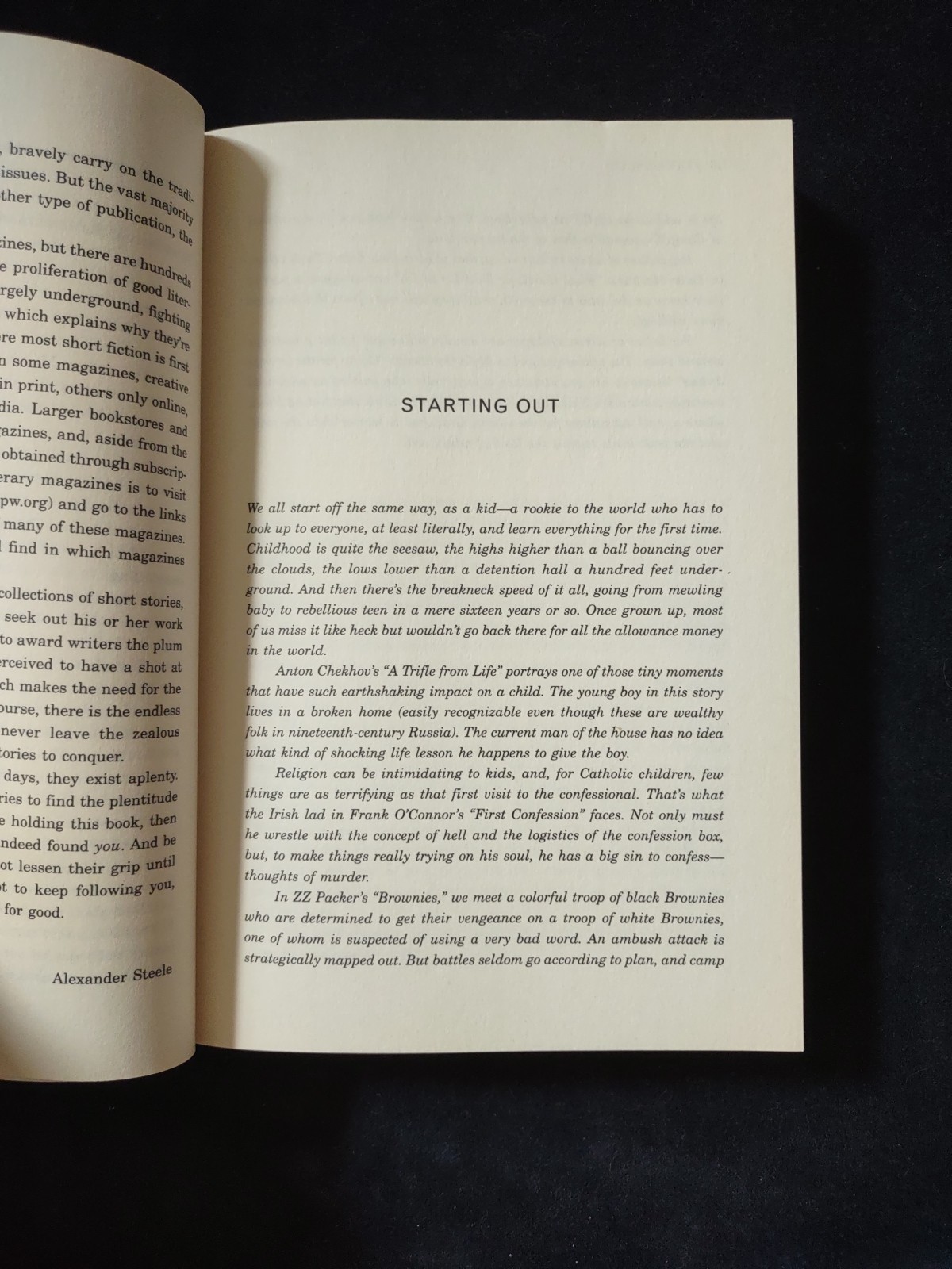 Gotham Writers Workshop Fiction Gallery Exceptional Short Stories Softcover Book