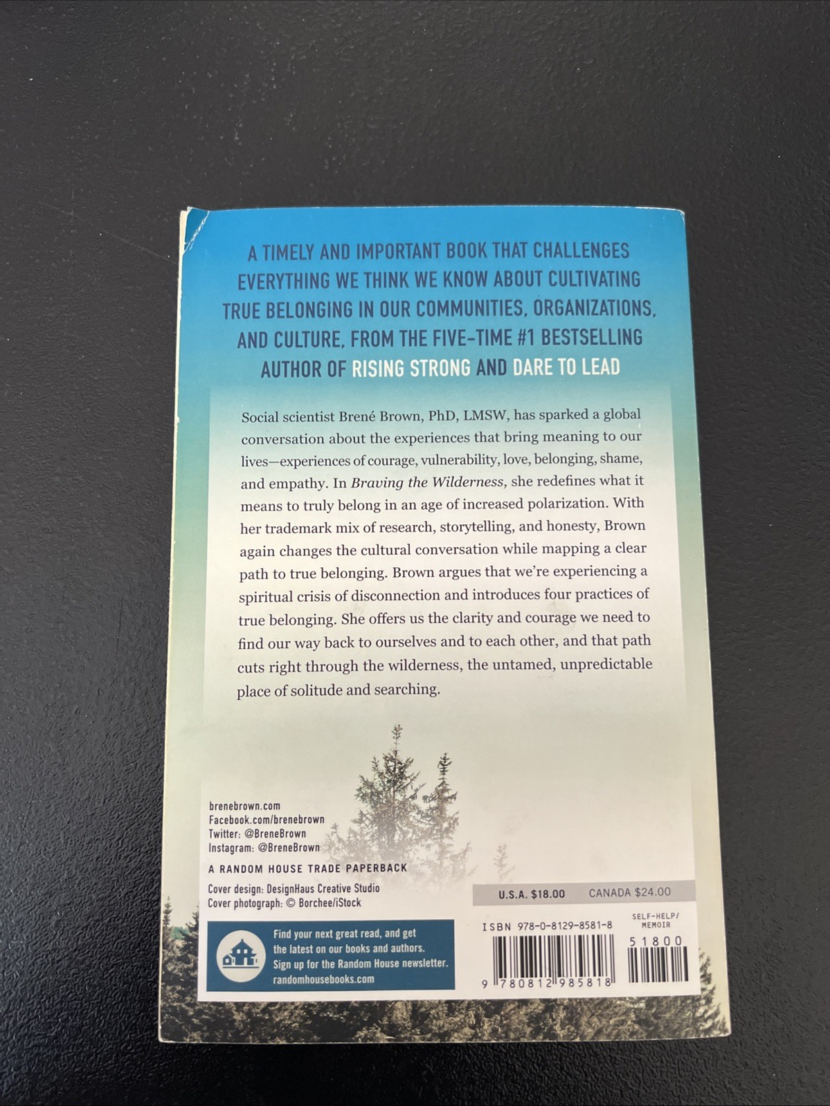Brene Brown Book Lot Of 2 Braving the Wilderness, Rising Strong Paperback