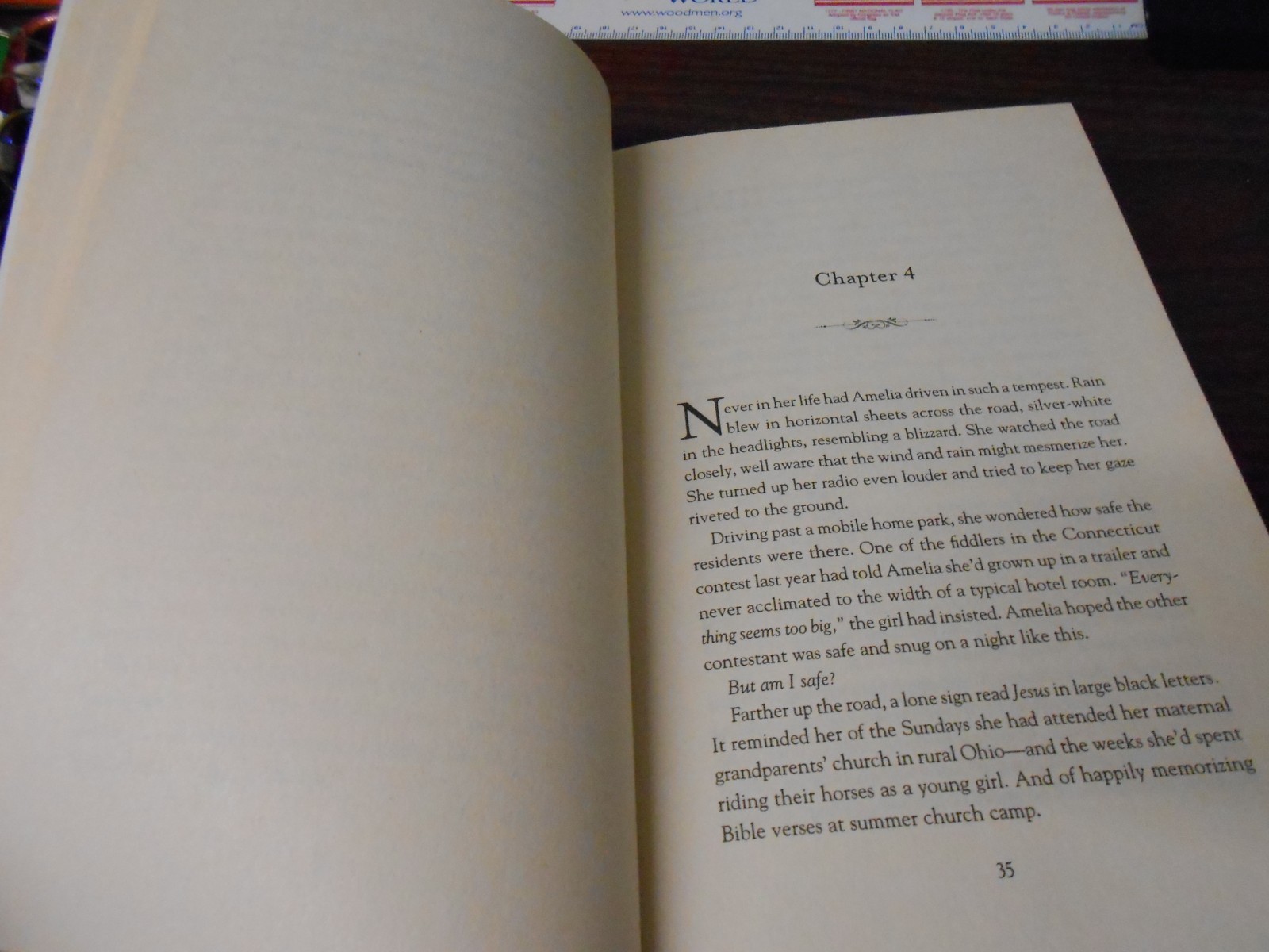 THE FIDDLER -BEVERLY LEWIS – 336 PAGES – PAPERBACK – PRE-OWNED – GOOD