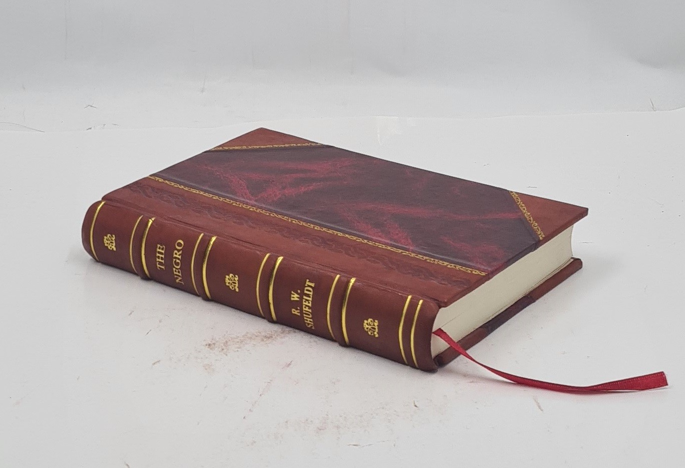 The Negro a menace to American civilization 1907 R. W. Shufeldt [LEATHER BOUND]