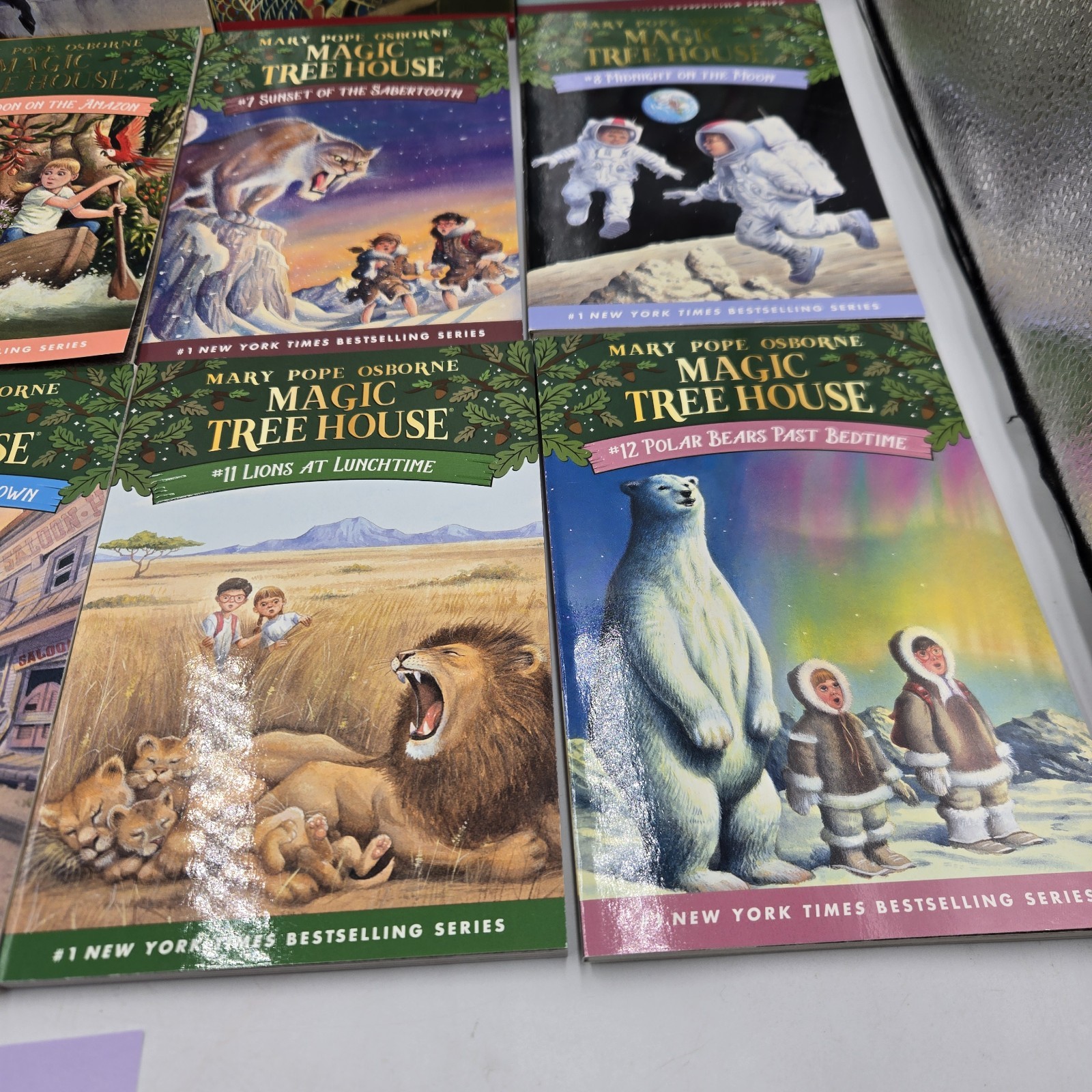 Magic Tree House 12 Book Set Books 1-12