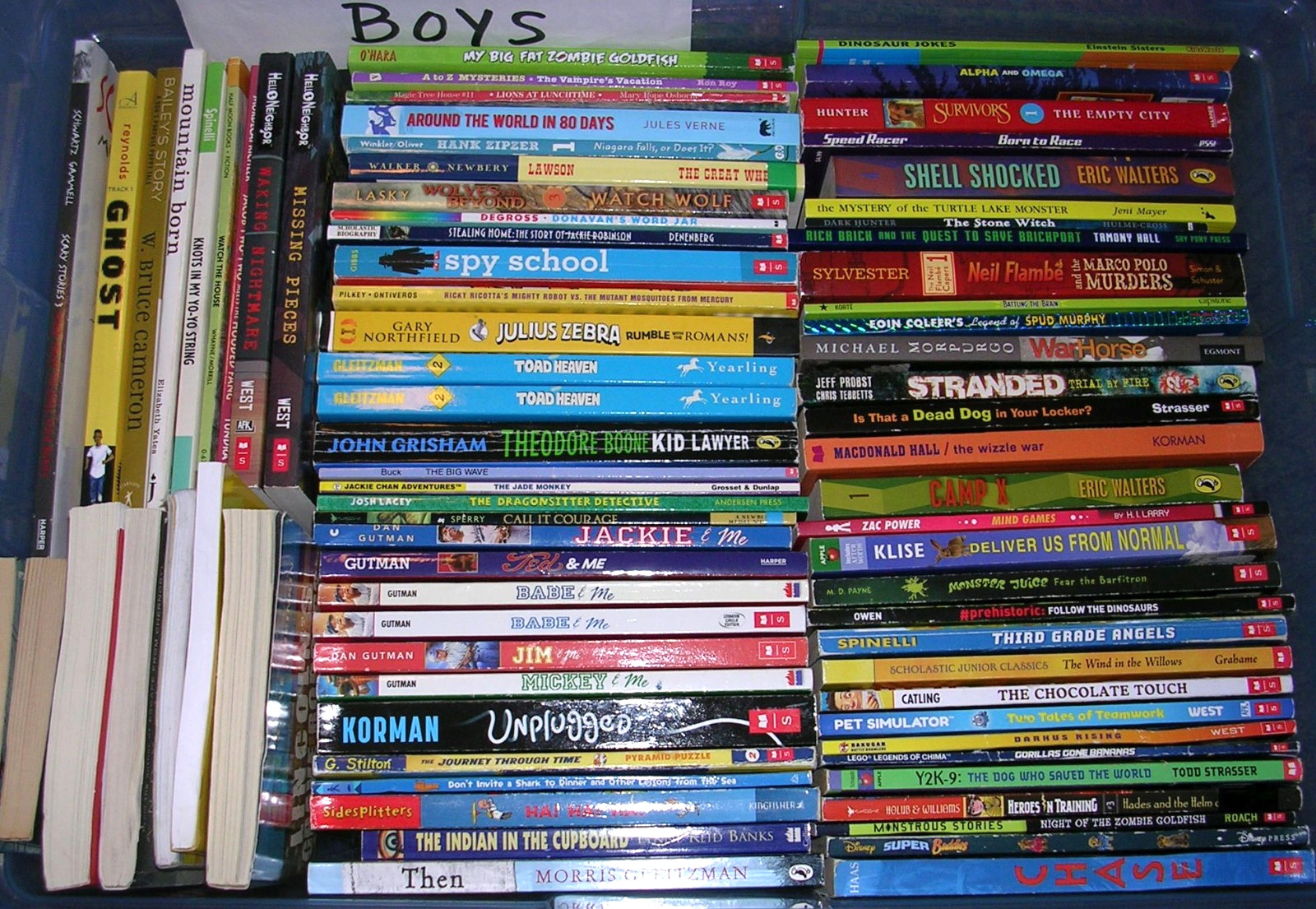 Random Lot 20 BOYS Reading Level 3rd 4th 5th Grade Chapter Books FREE SHIP