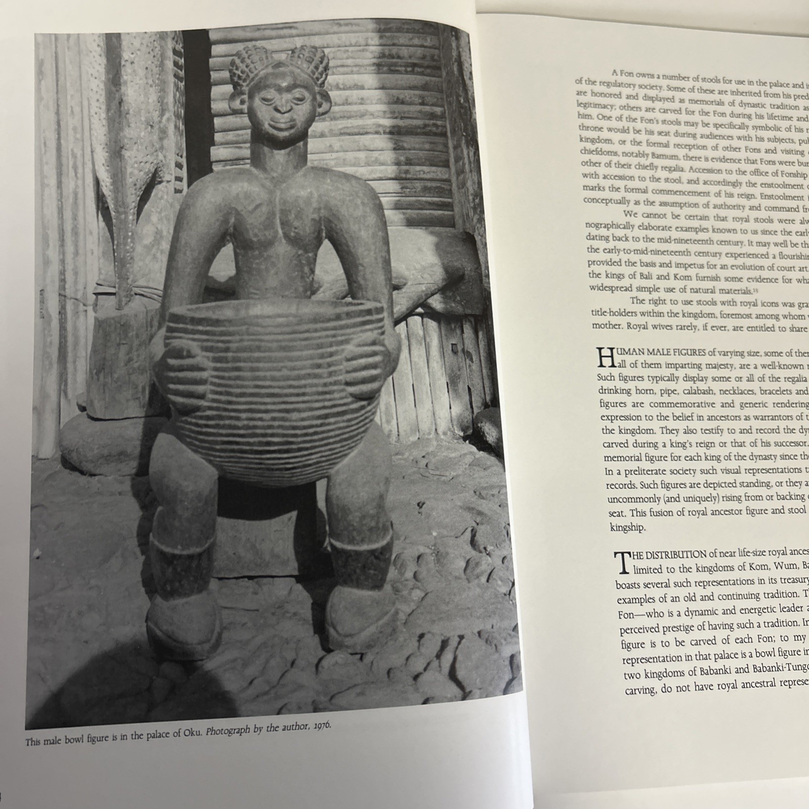 The Artof Cameroon