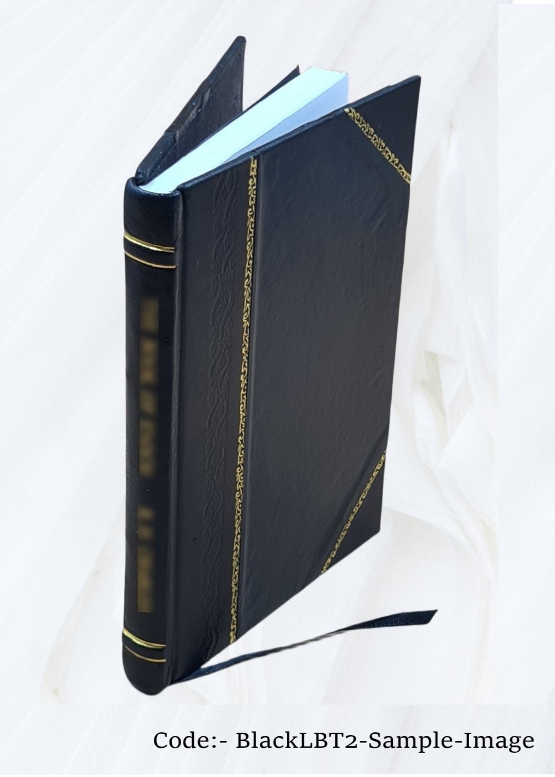 Mystery Serpent By B.F. Jackson: “The Mystery Of The Serpent” [Leather Bound]