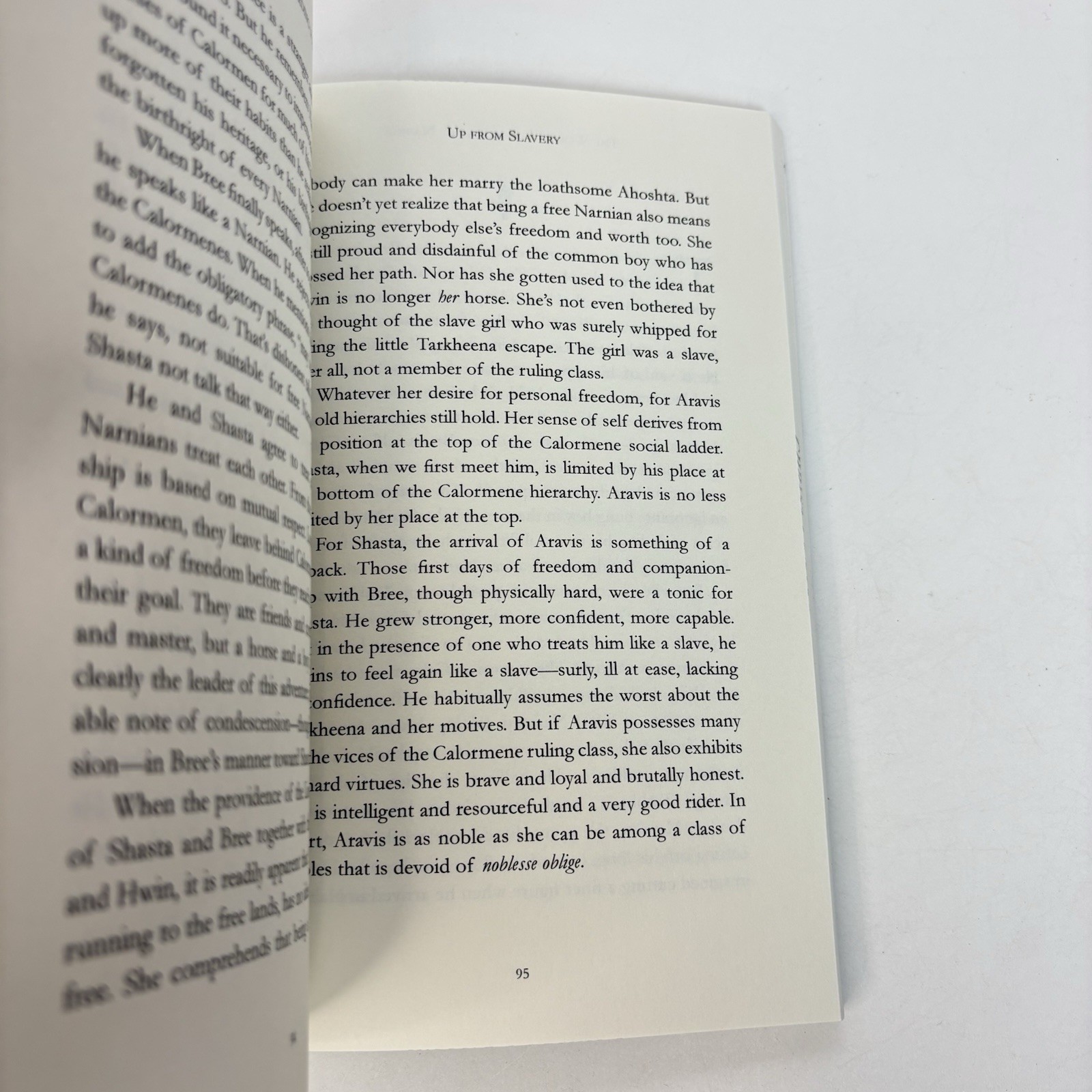 The World According to Narnia by Jonathan Rogers (2014) TPB Ex-Library Copy 1L