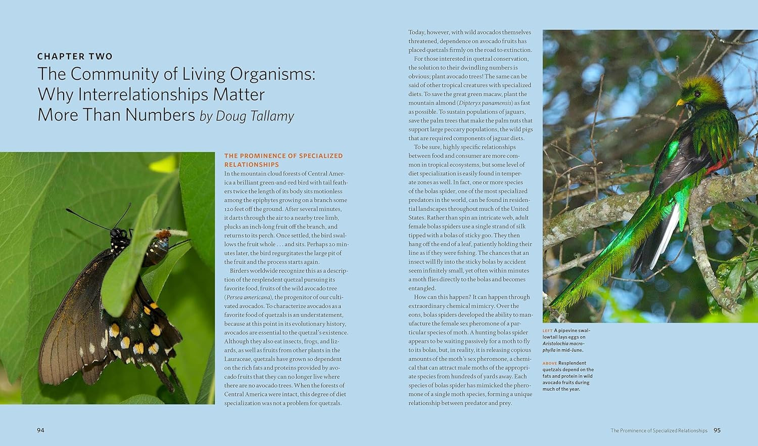 The Living Landscape: Designing for Beauty and Biodiversity in the Home Garden