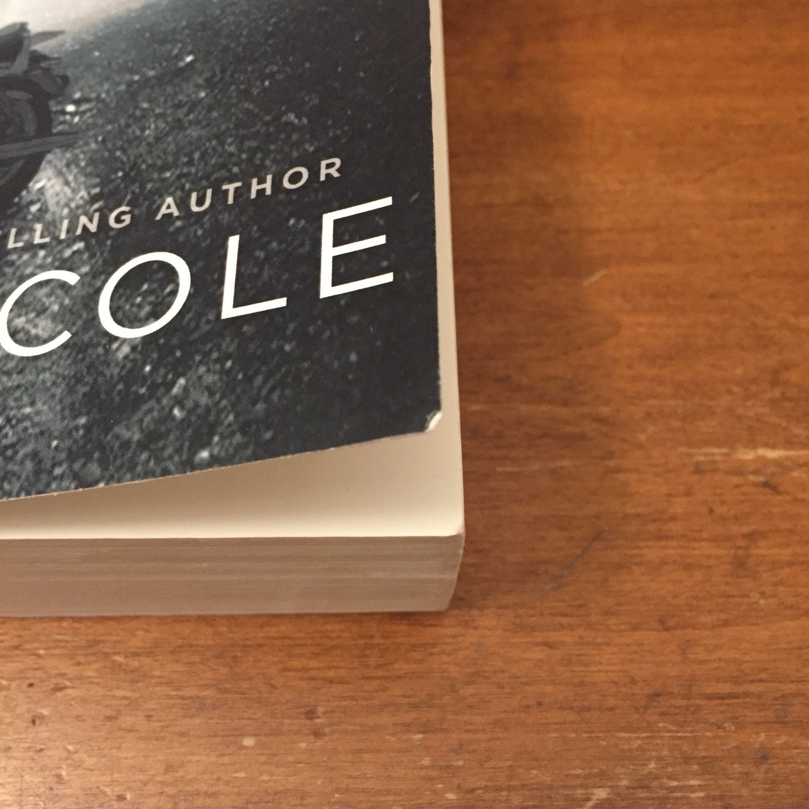Heart Recaptured (Hades Hangmen) Tillie Cole 2014 Trade Paperback Rare OOP Good+